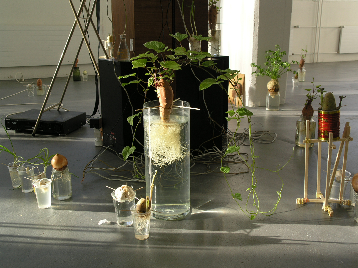 Colour Field (Remix)06.jpeg