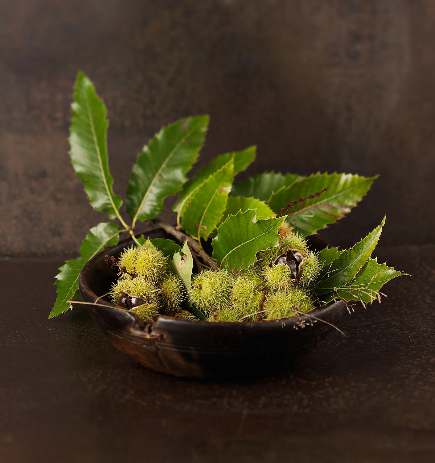 Food Photography Photographer London UK Chestnuts