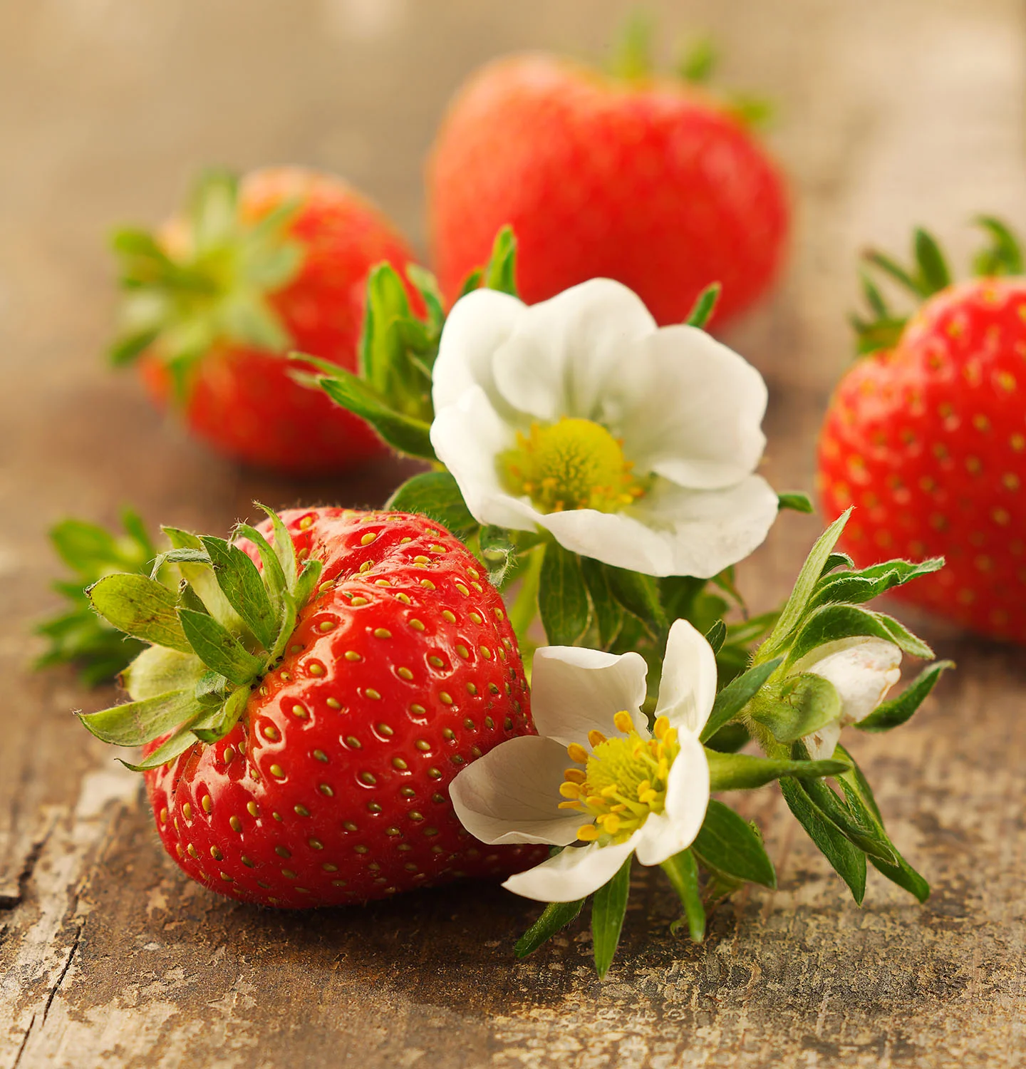 Food Photography Photographer London UK Strawberry