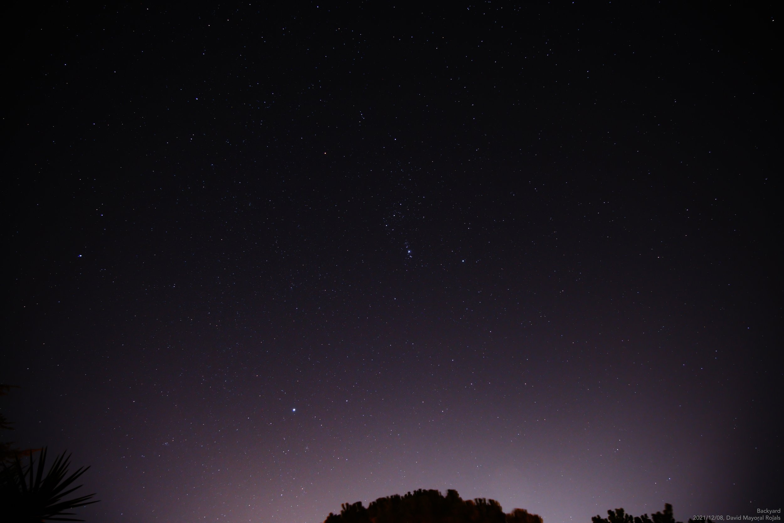 Backyard wide field photo