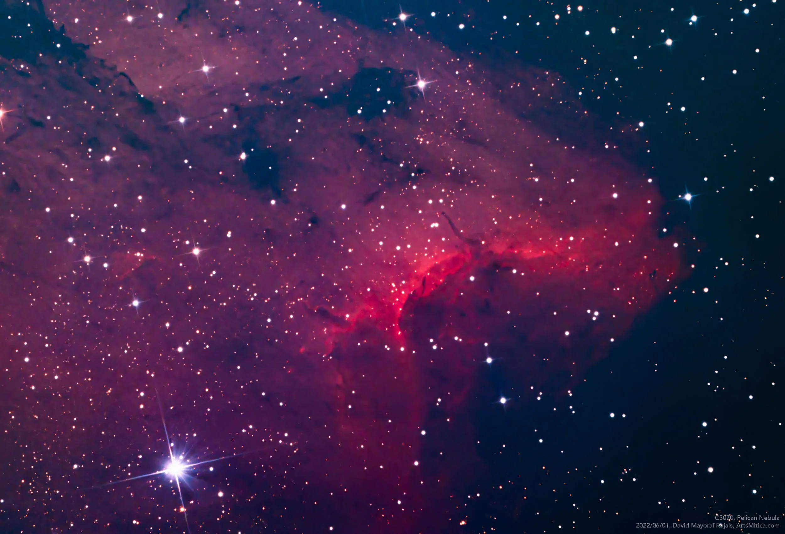 IC5070 Pelican Nebula