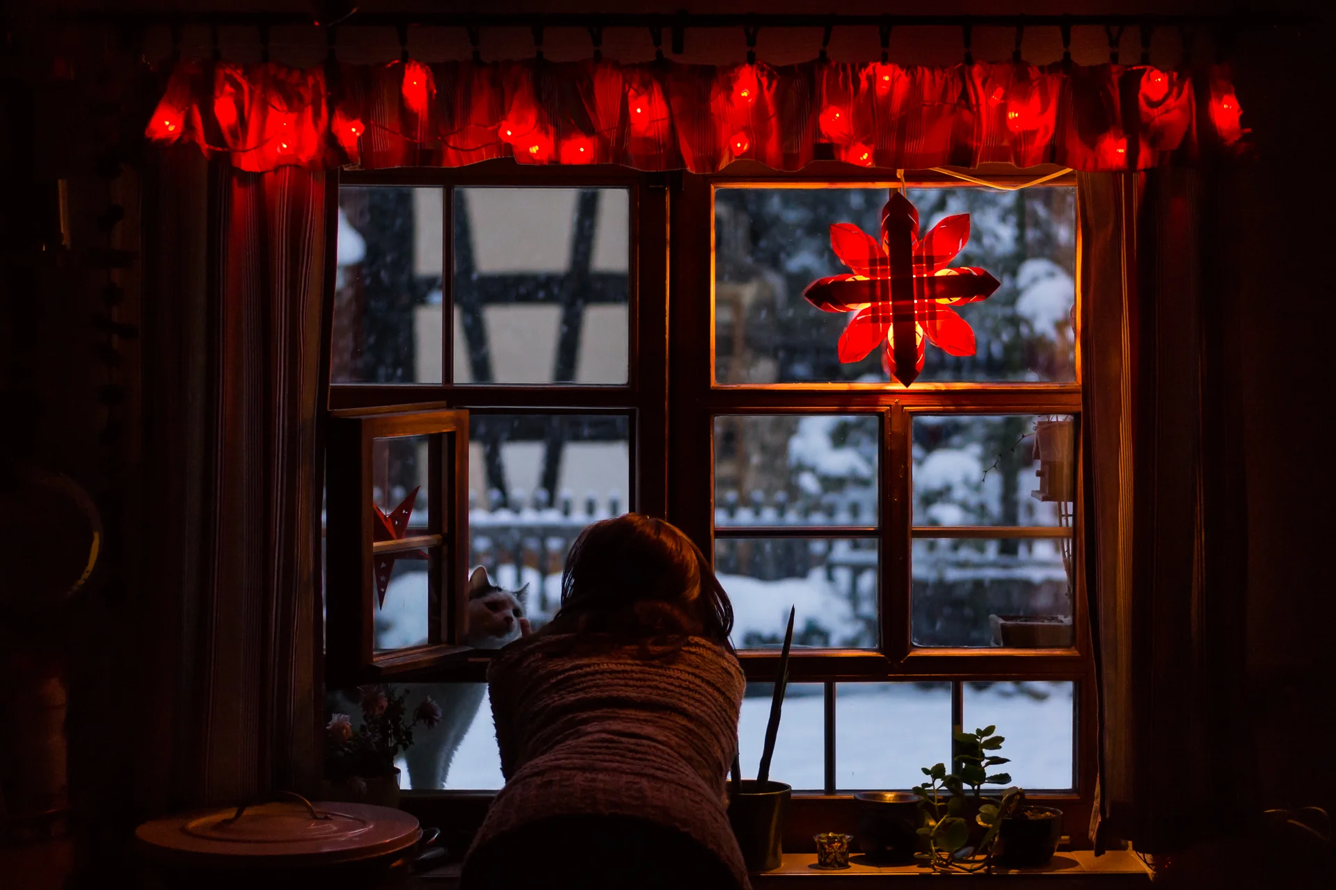 christmas spirit