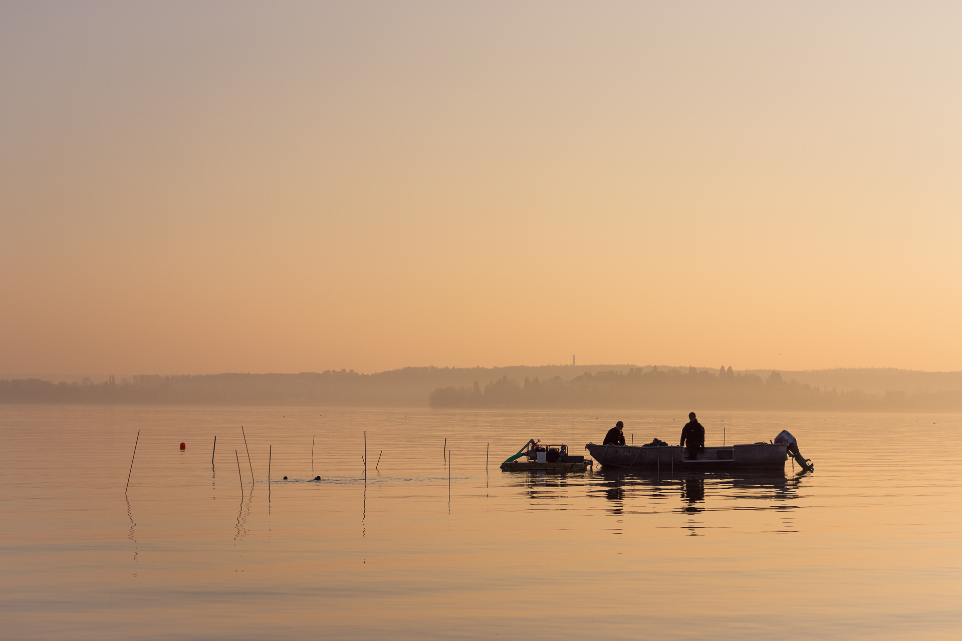 sunset divers