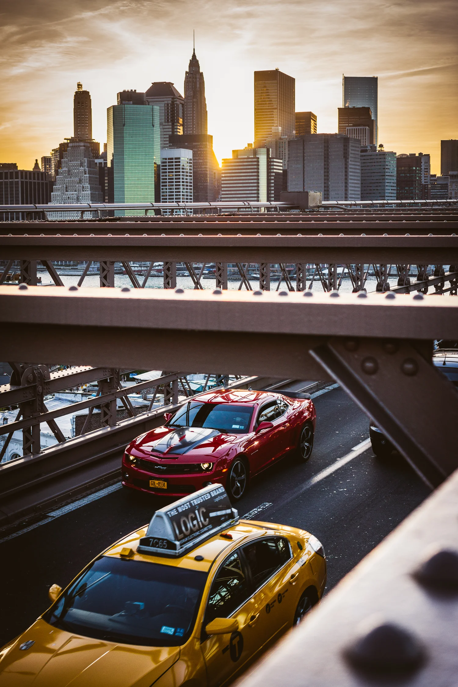 mustang on the hop