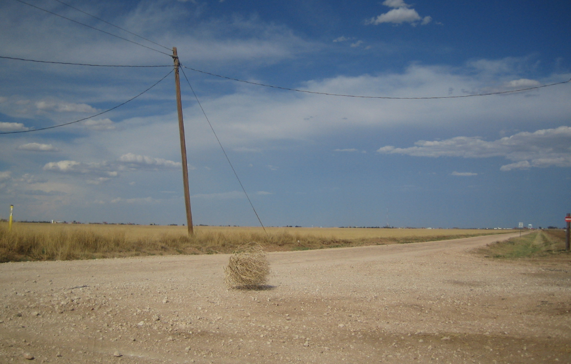 Waiting for a reply can seem like watching the tumbleweeds roll...