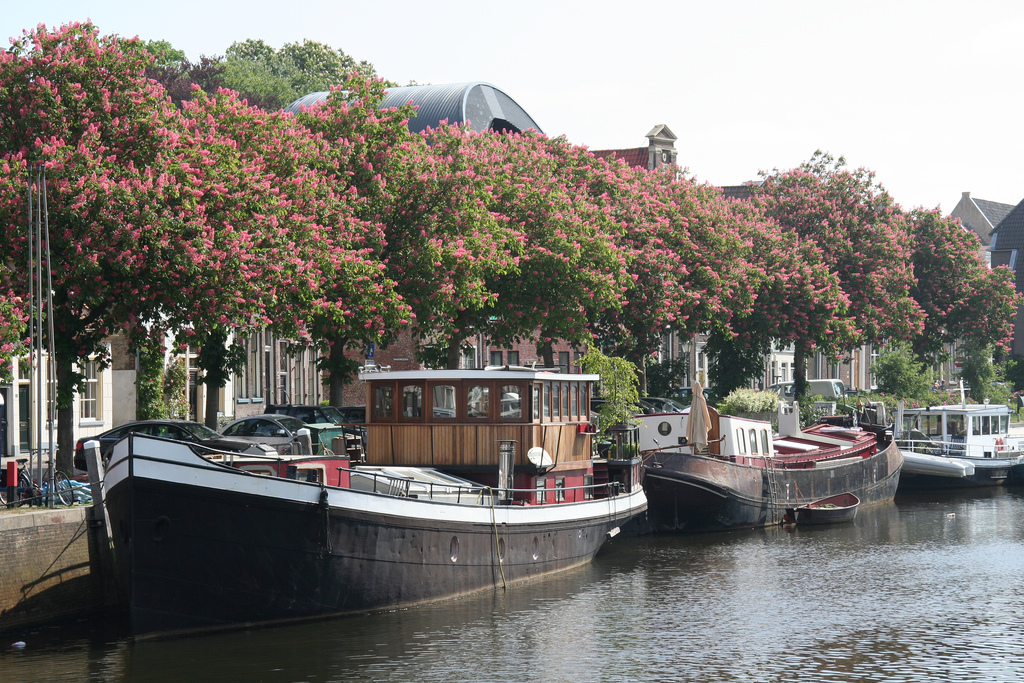 Zwolle2.jpg