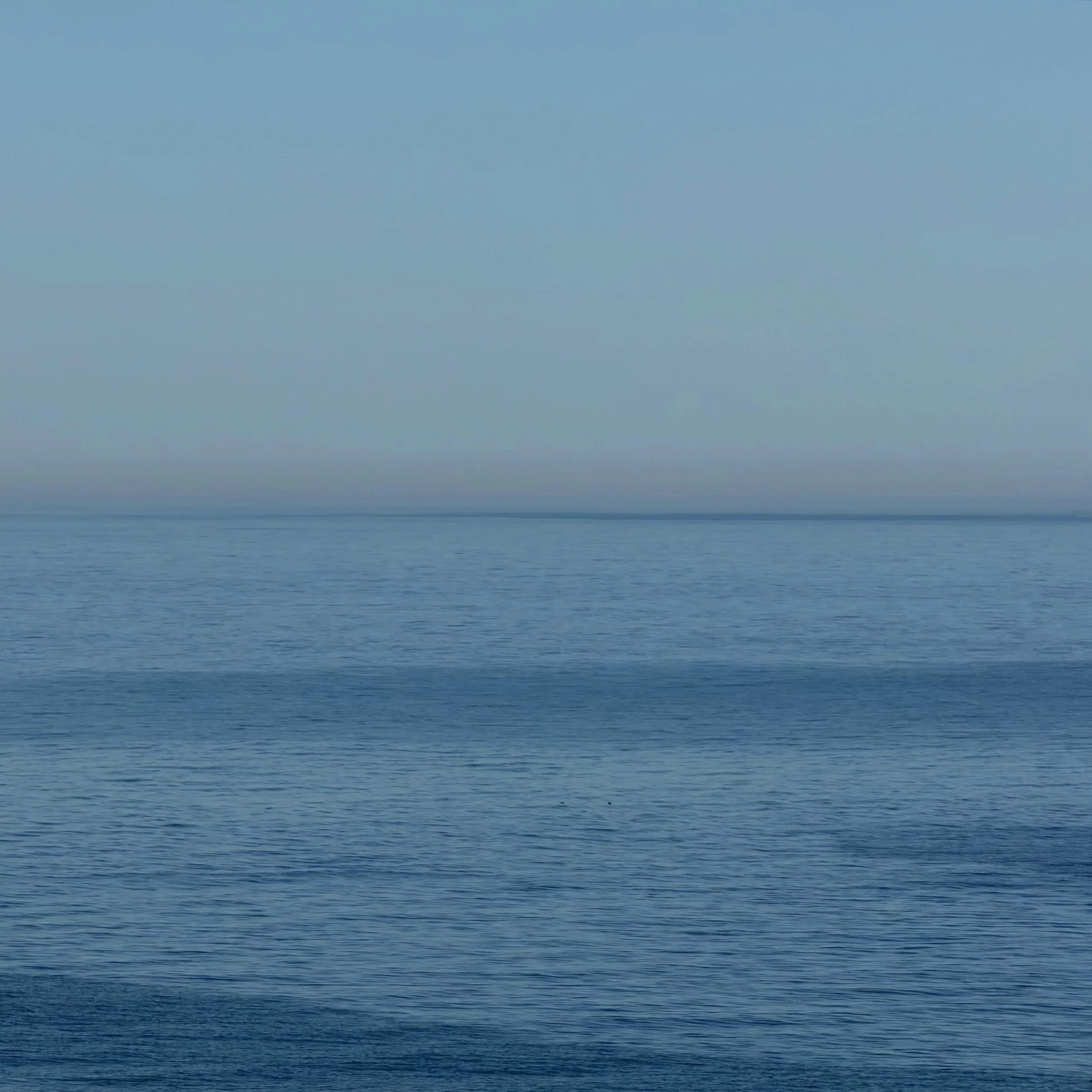 the world is blue at its edges and in its depths... . ..

Rebecca Solnit
&bull;
A Field Guide to Getting Lost