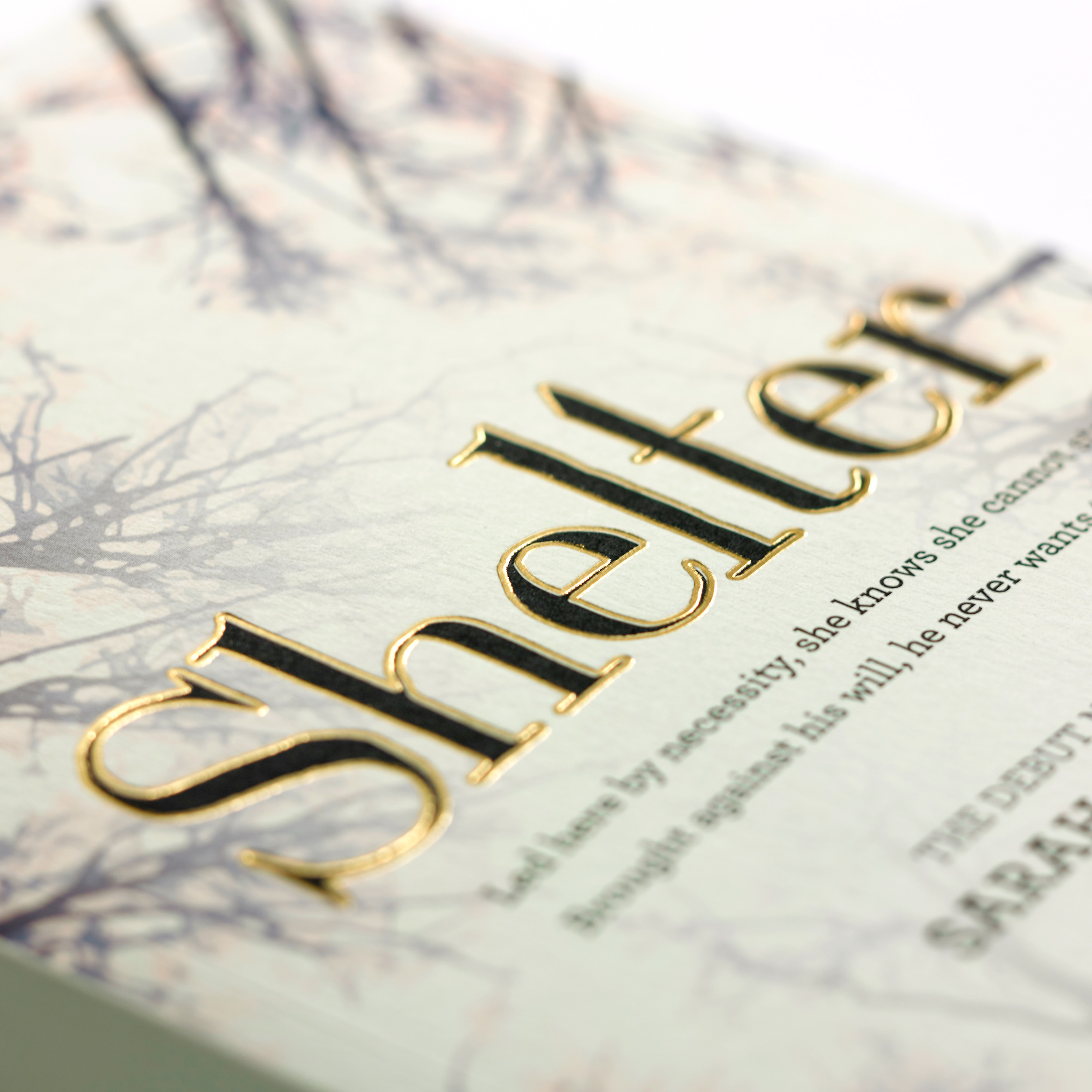 Shelter Book Cover Design