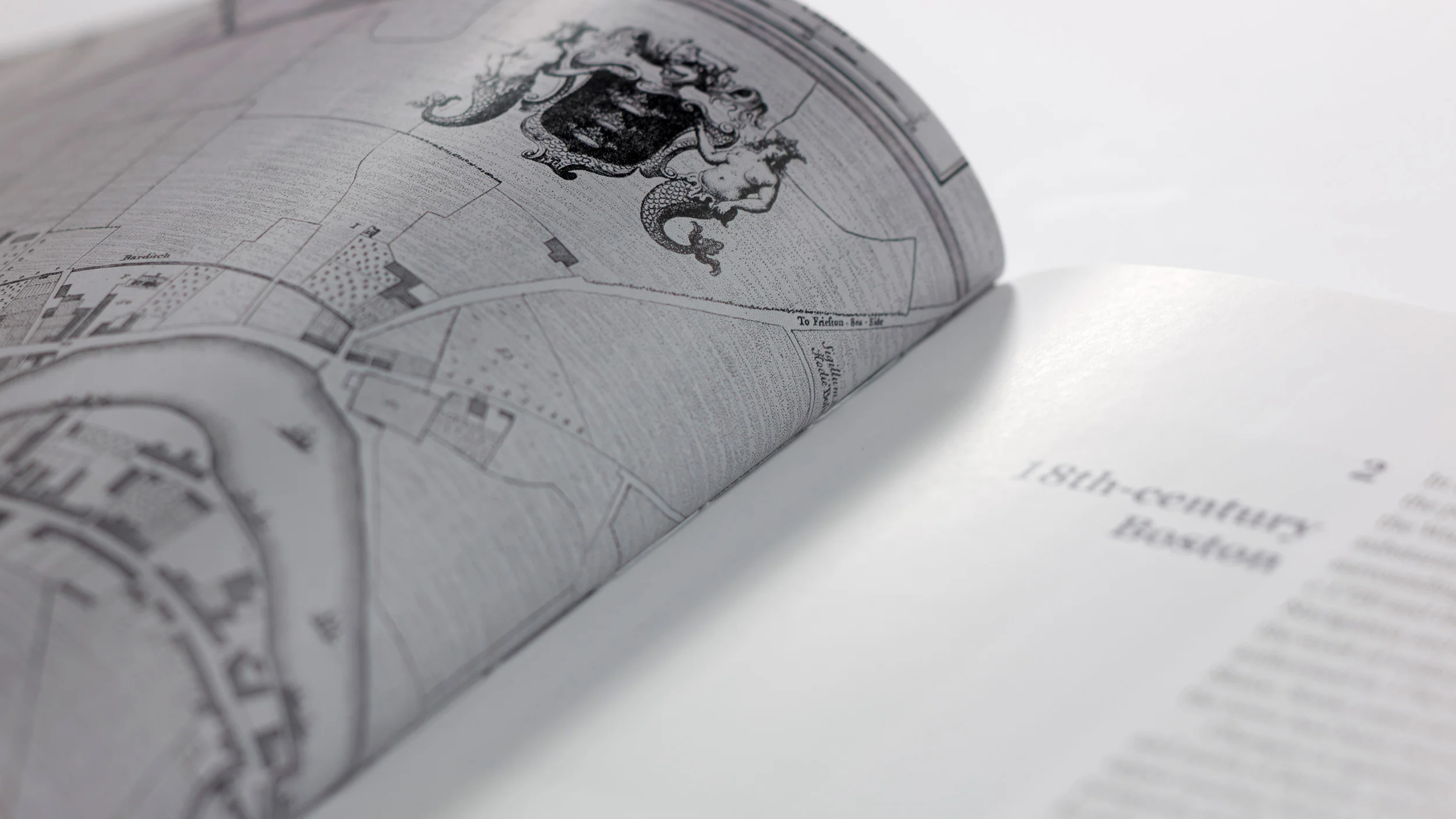 Informed Conservation Book Series Design
