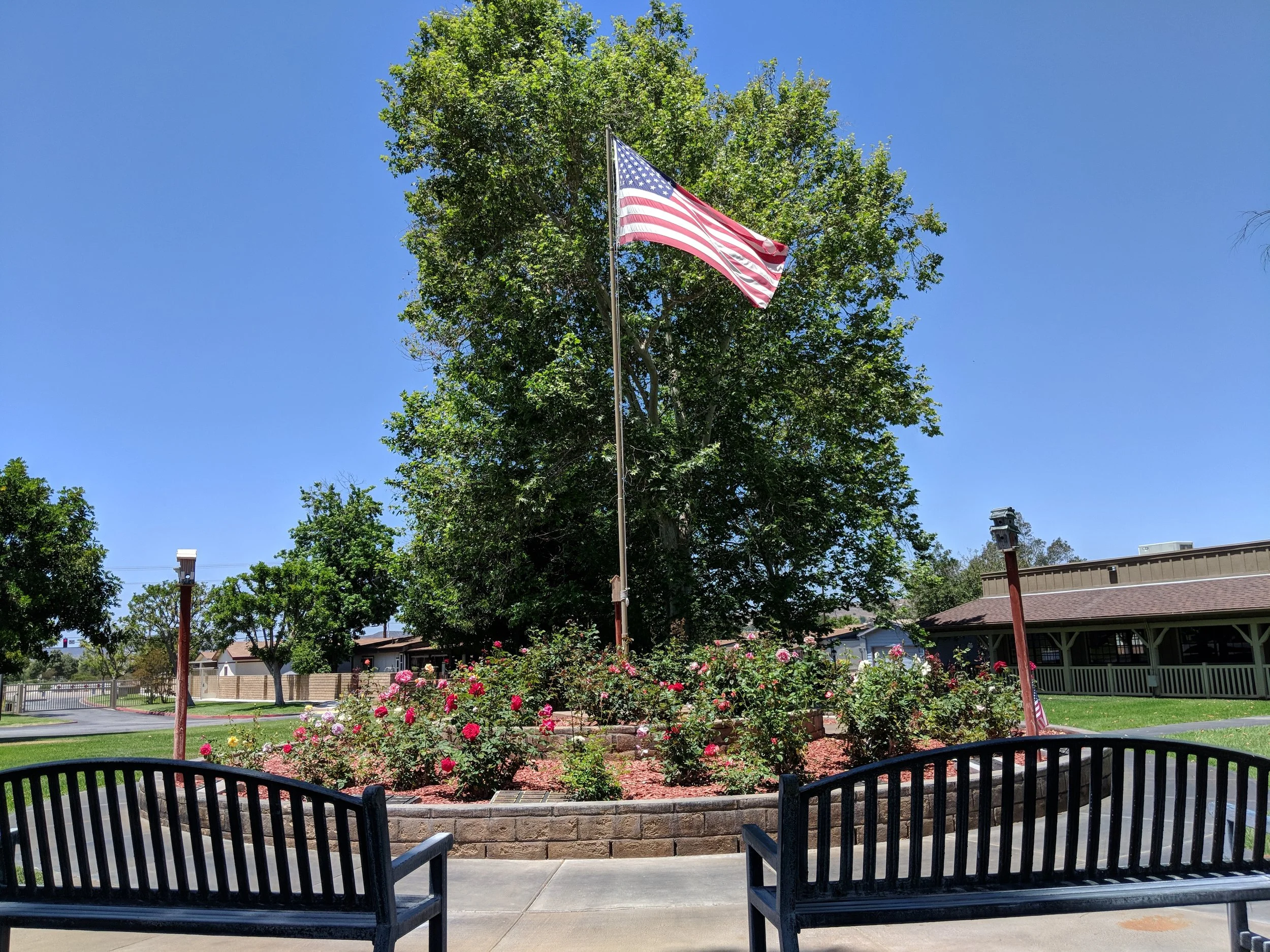Rose Garden.jpg