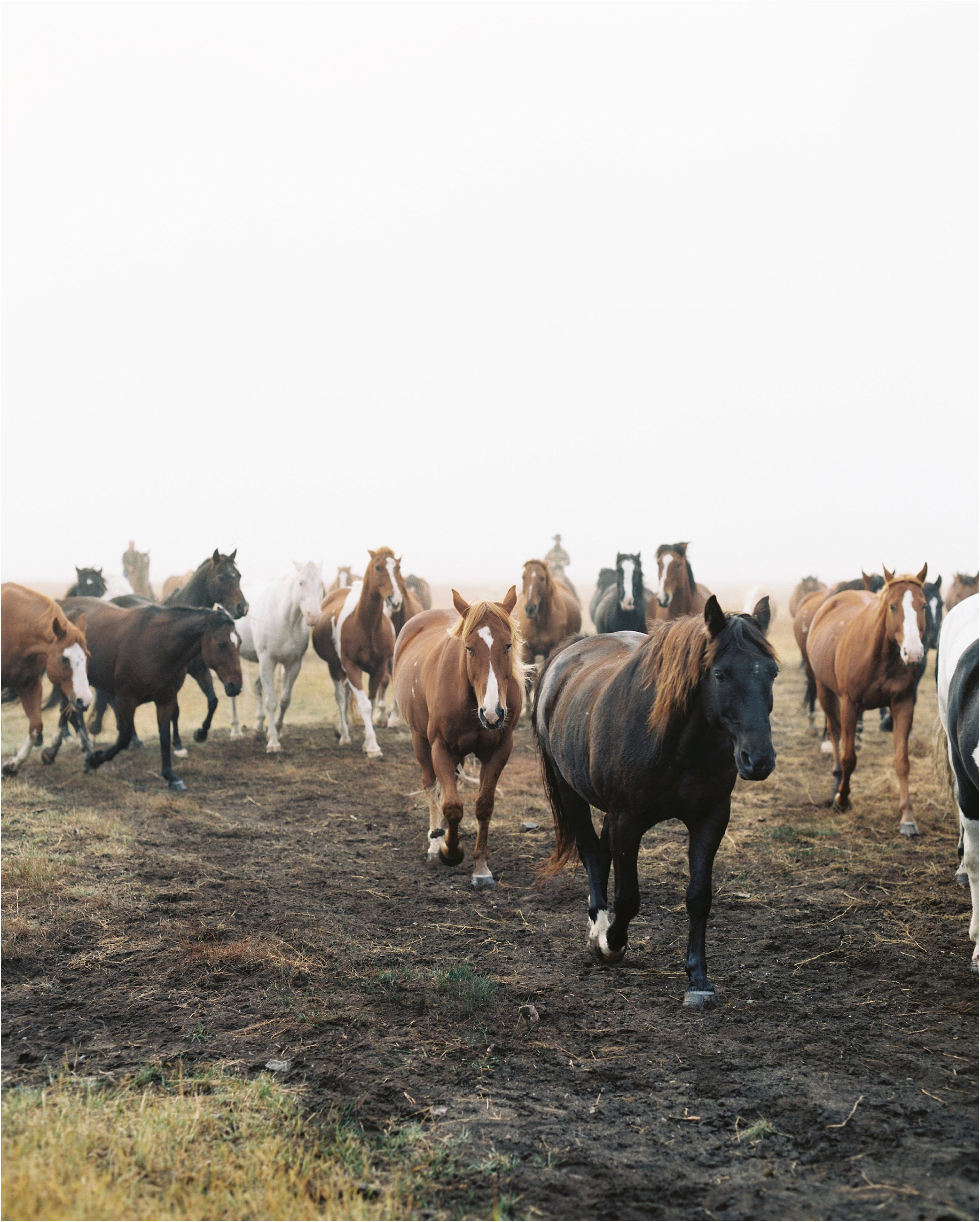 montana_wedding_jeremiahrachelphotography_resort_at_paws_up0041.JPG