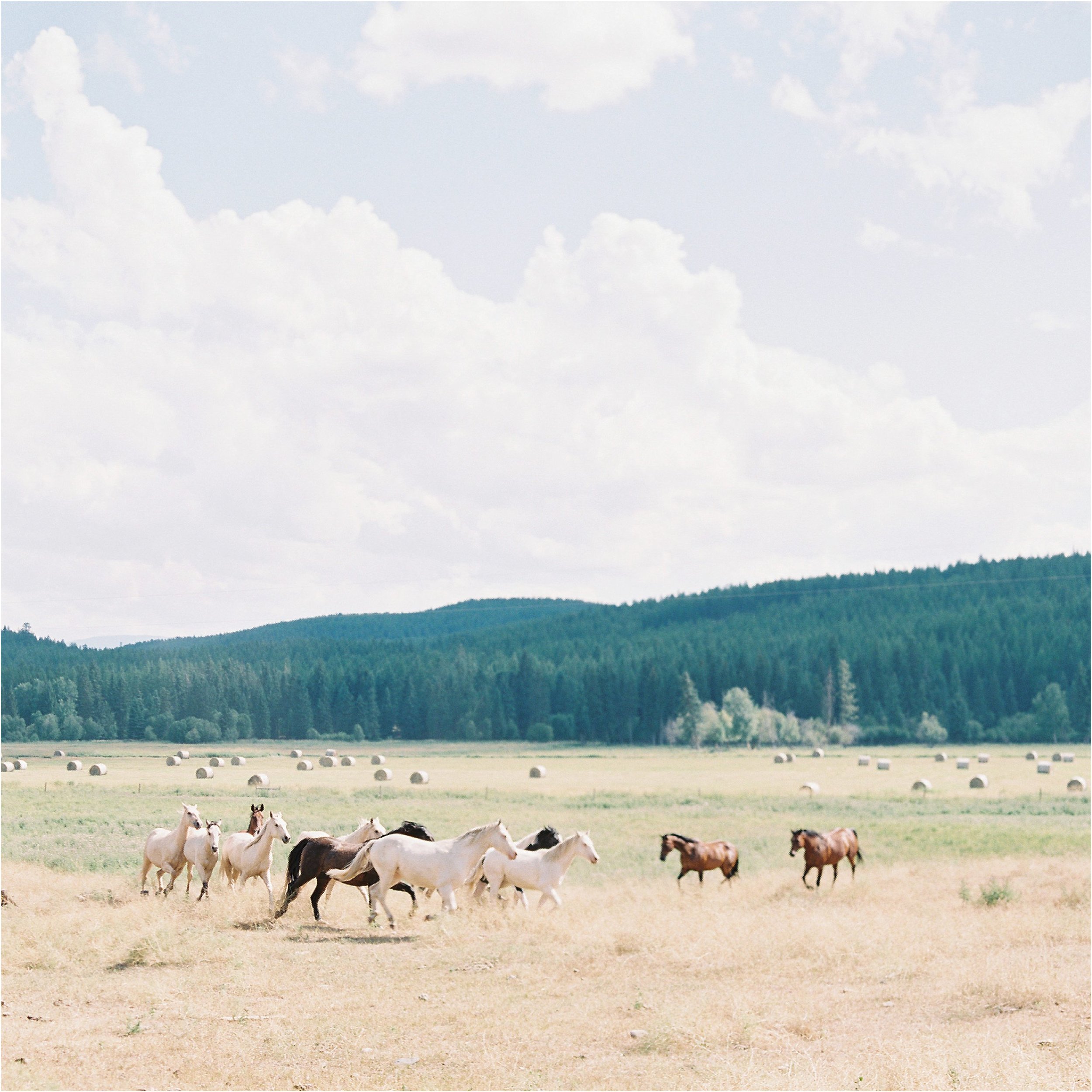 montana_whitefish_film_wedding_photographer_00018.jpg