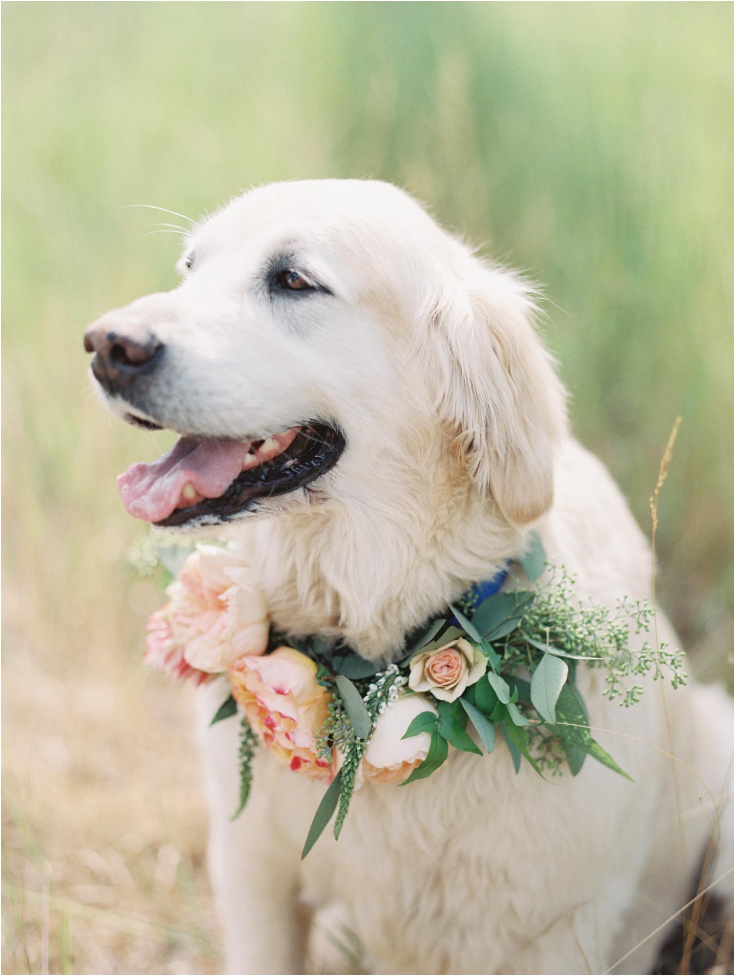  Montana Wedding at Glacier Mountain Lodge

Design and Florals: Goldfinch Events http://www.goldfinchevents.com

�Jeremiah & Rachel Photography 