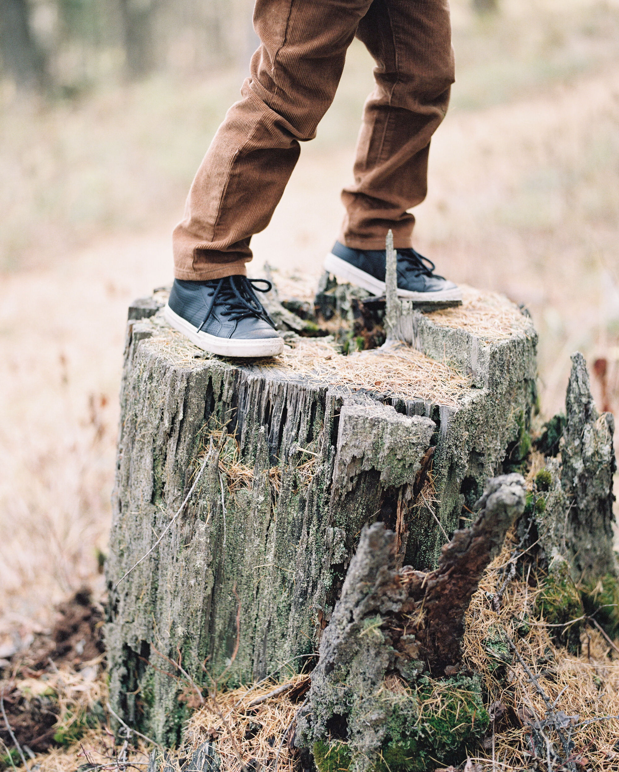  Family & Lifestyle sessions, with Jeremiah & Rachel Photography  