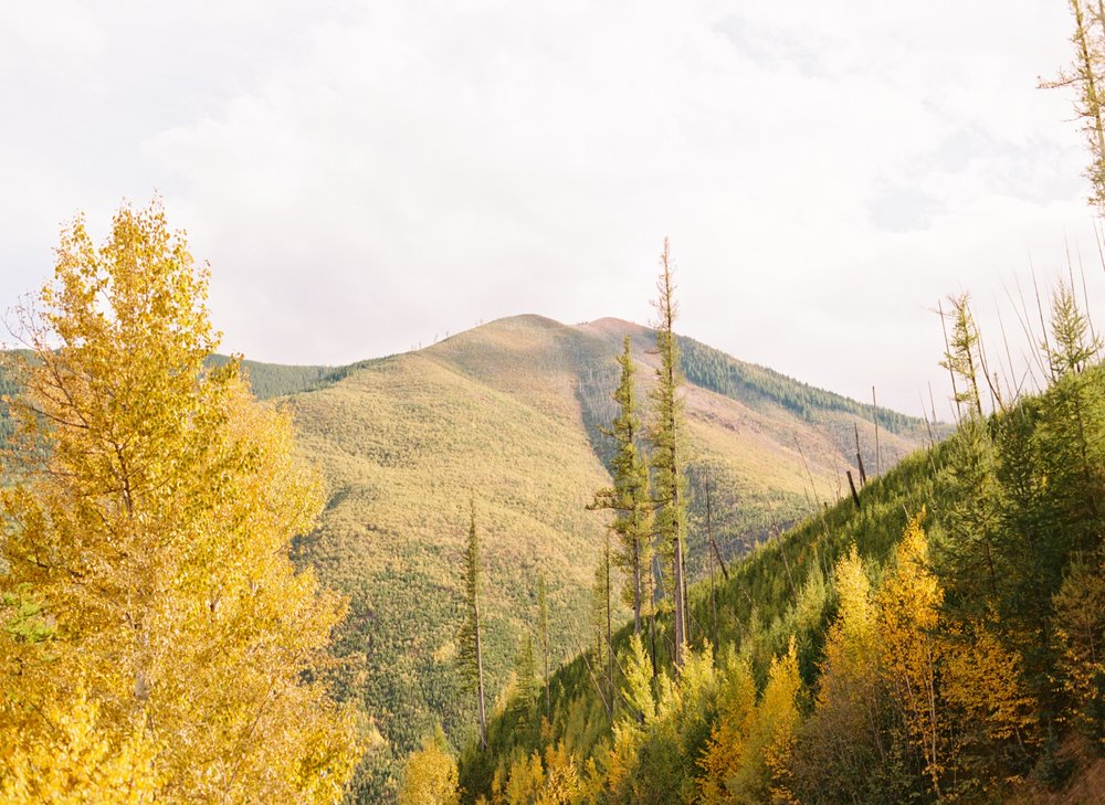 03_Fall in glacier national park on Medium format film.jpg