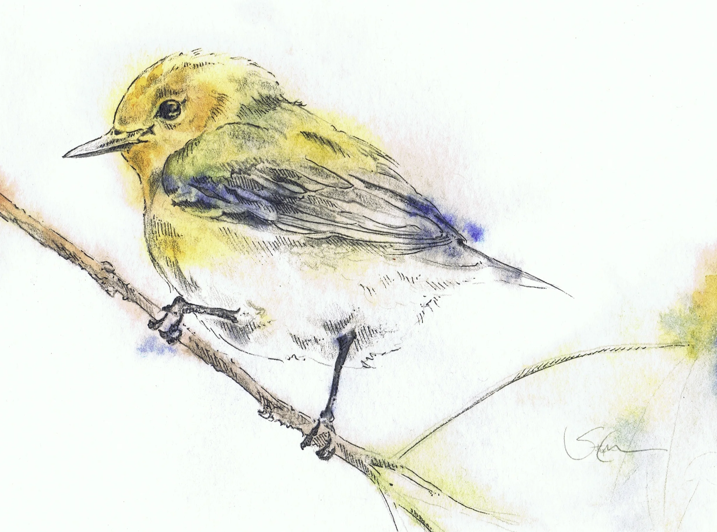 Yellow Bird