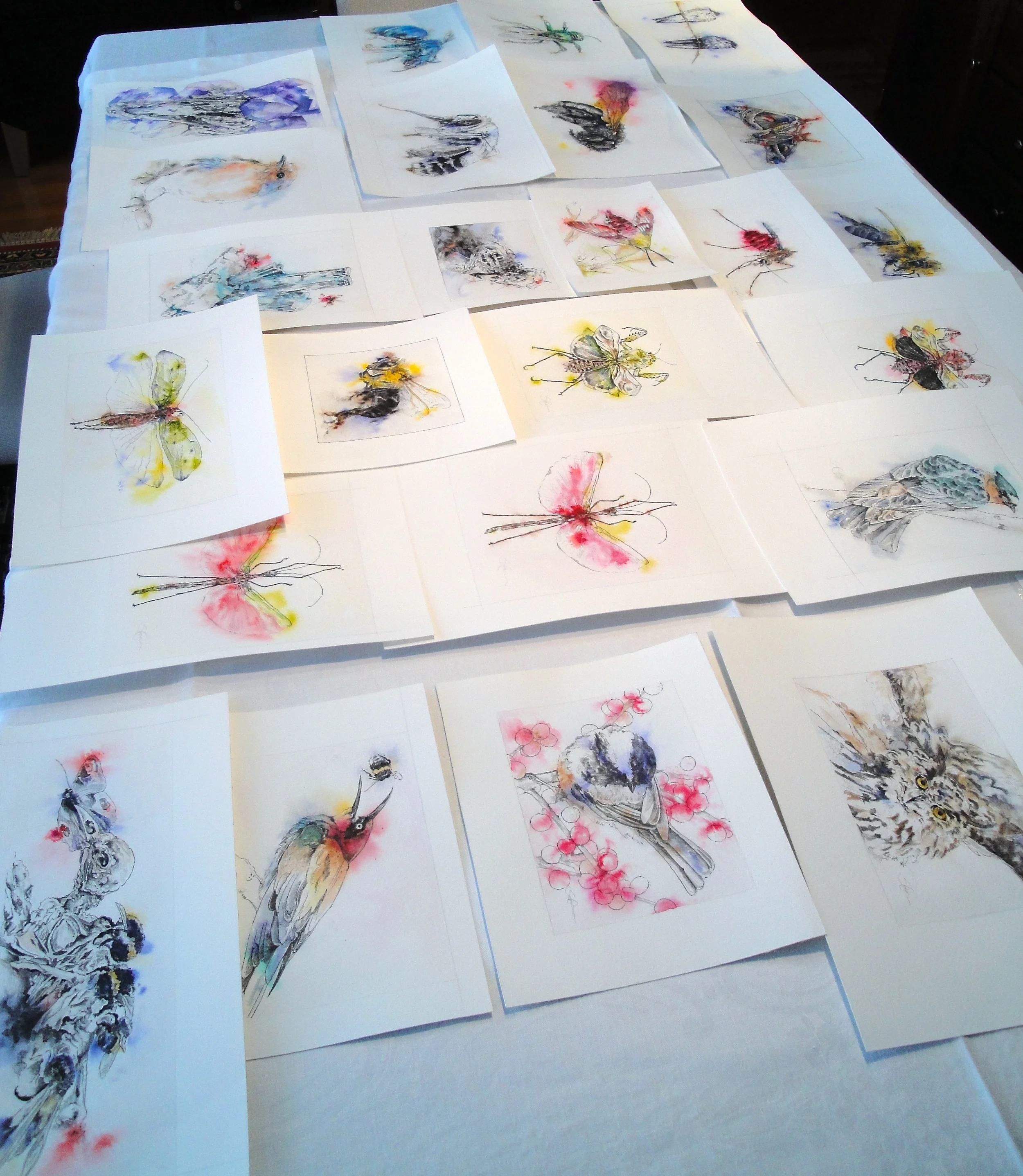 Assorted Drawings