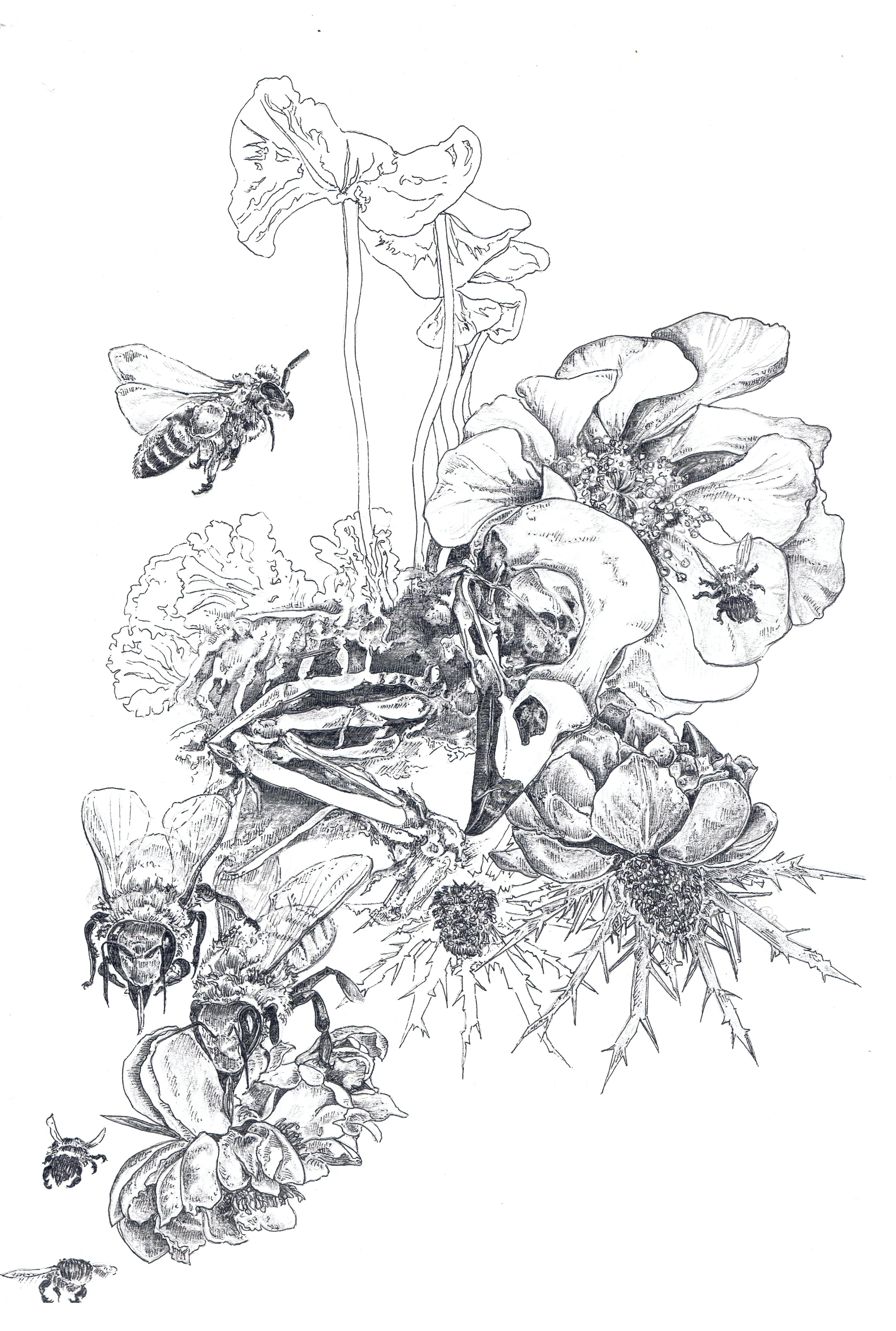 Bird Skull Floral