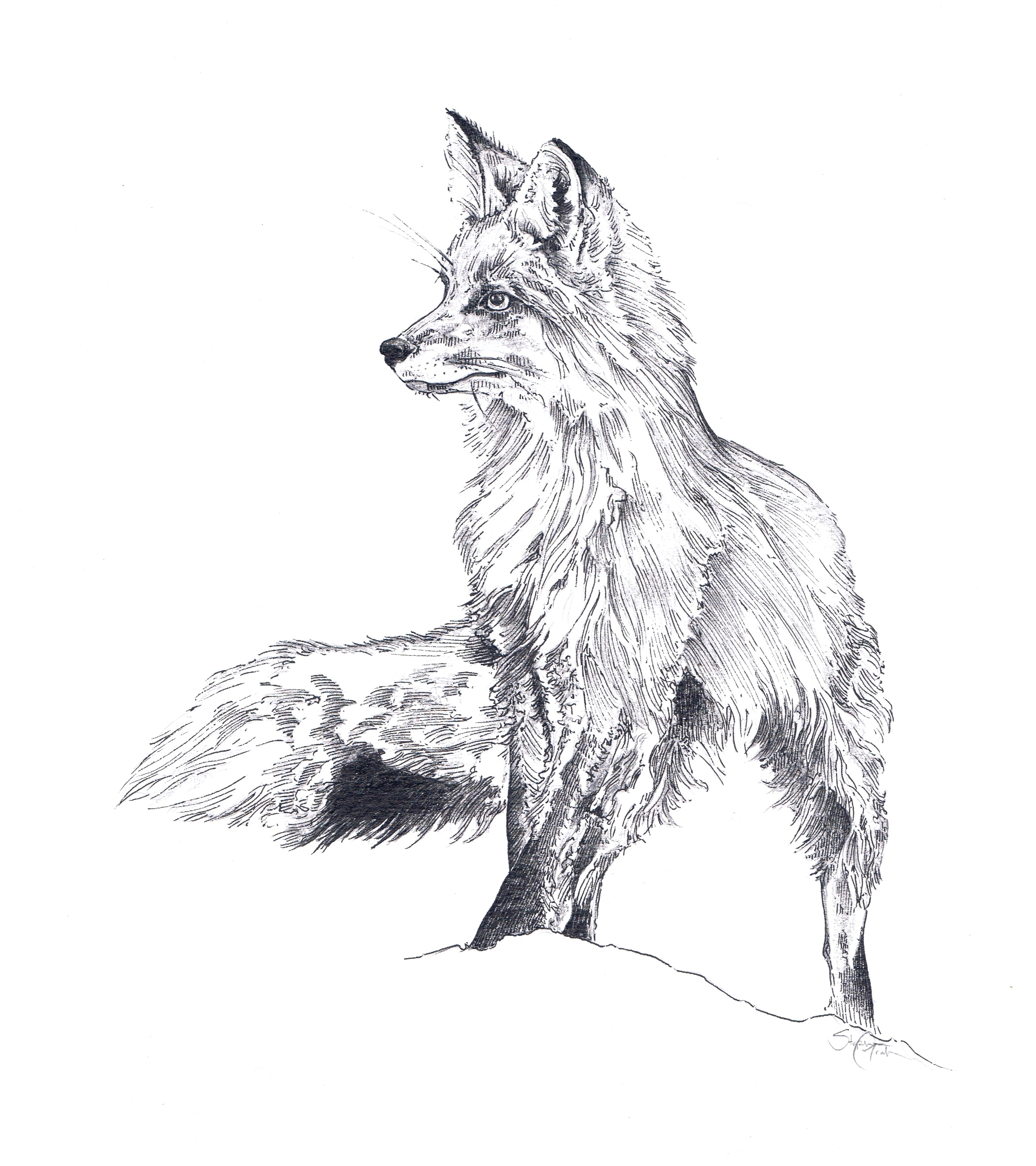 Lady Wilde