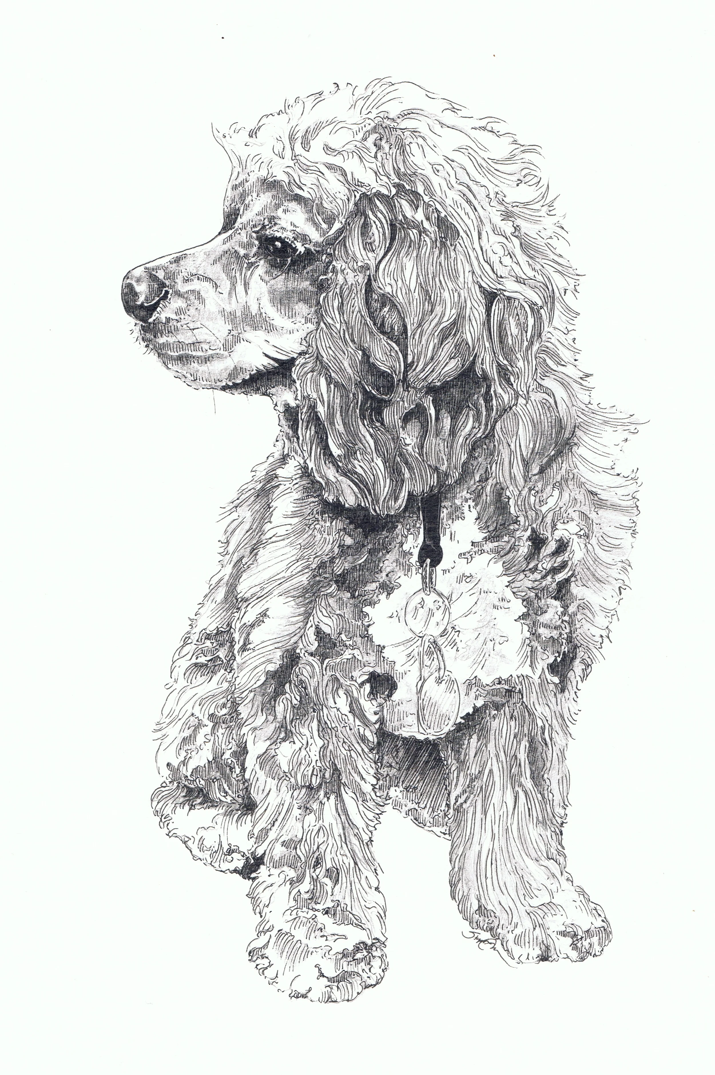 Farrah