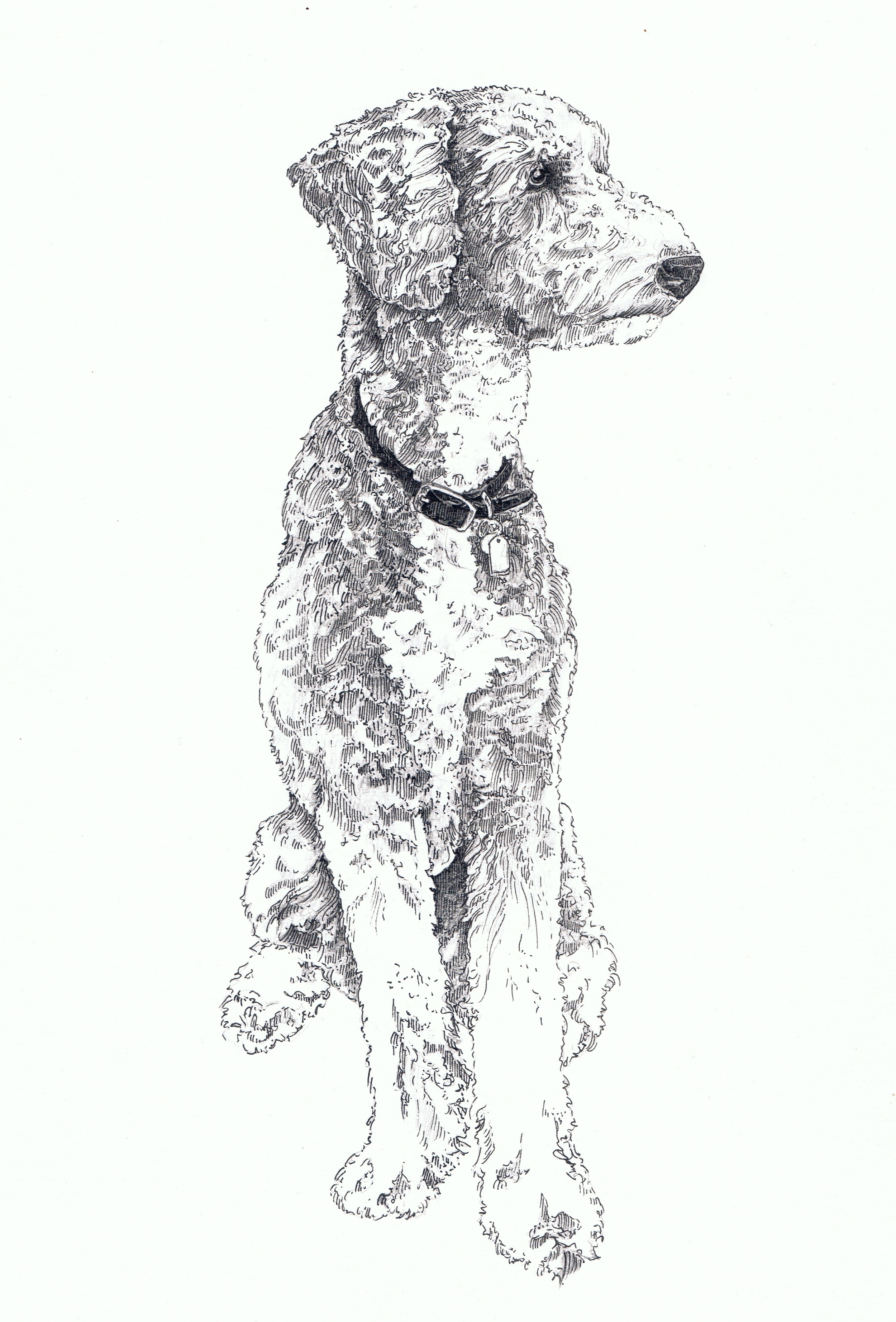 Molly