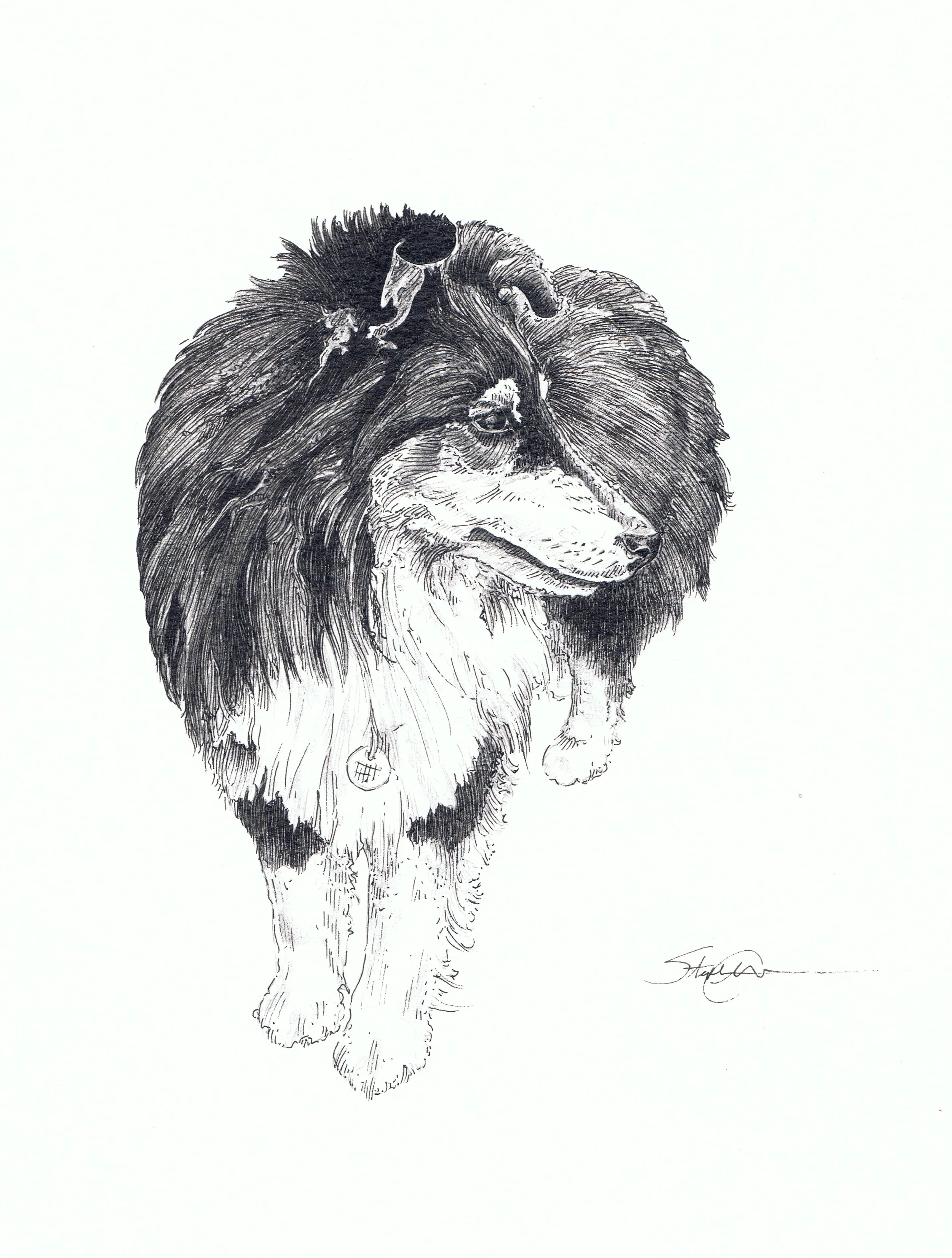 Seamus