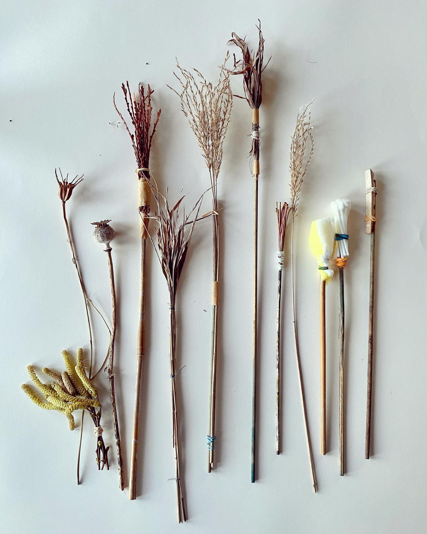 Foraging in the winter garden for grasses, leaf stems, catkins, feathers &hellip;making some DIY brushes for my classes on Ink &amp; Watercolour starting again tonight @royaldrawingschool #newterm #springterm #homemade #diy #experimentalinkpainting