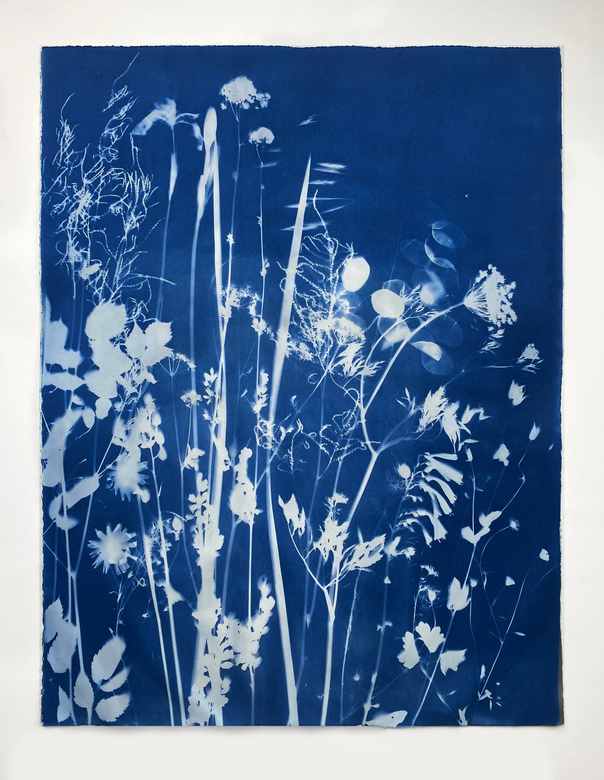 My Mother's Garden, May