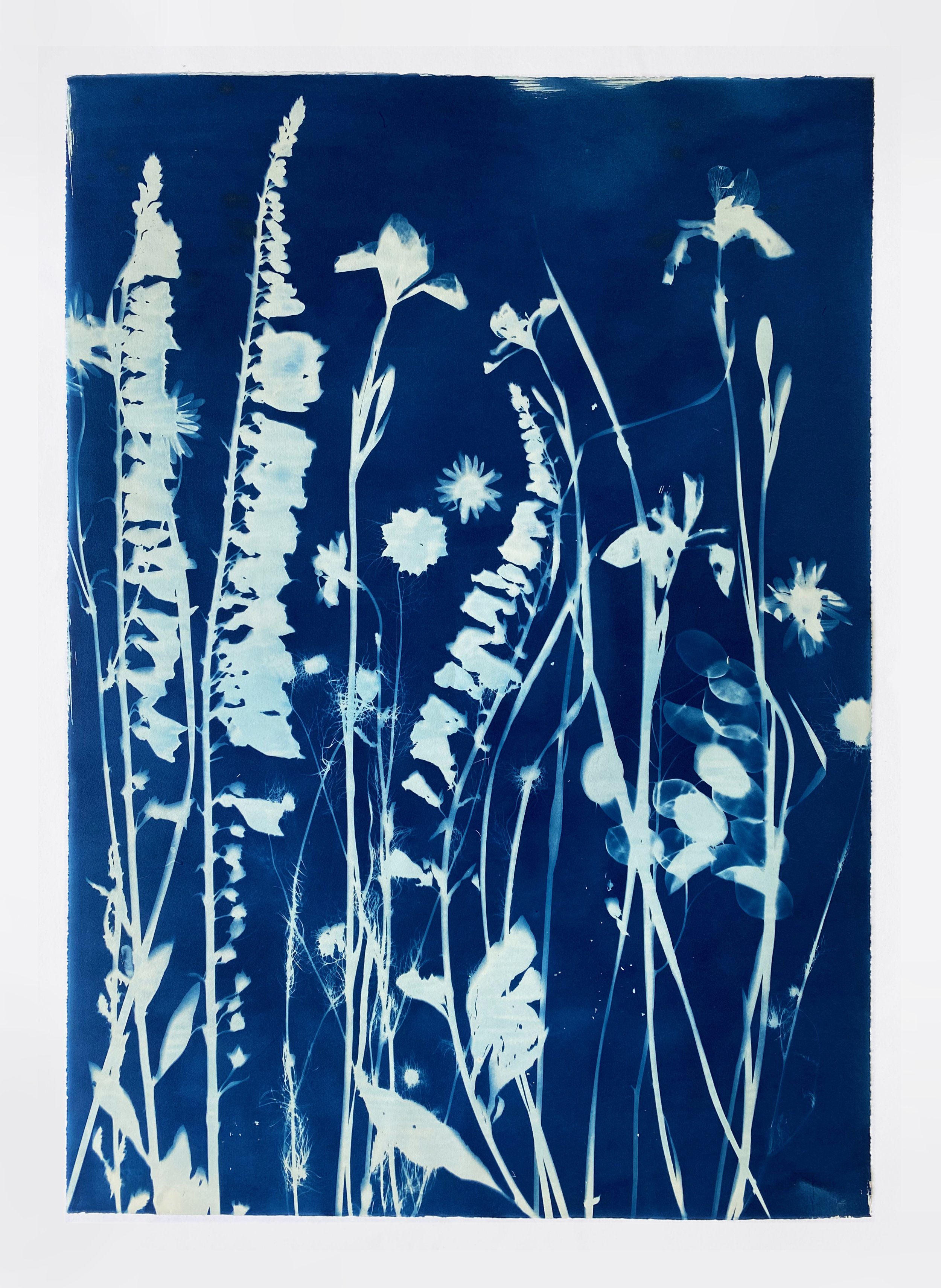May, III