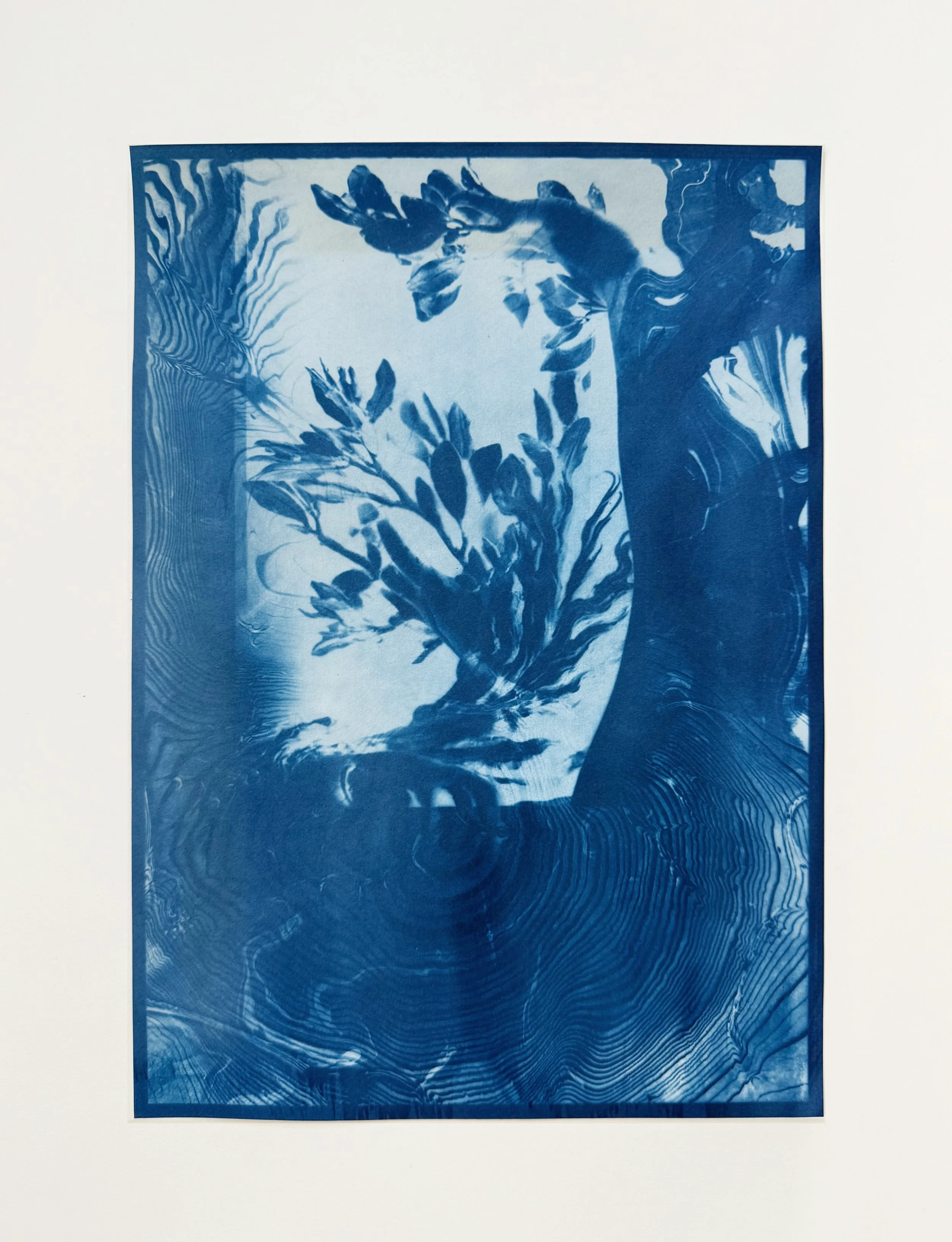 Metamorphosis of Daphne (Bernini), VII