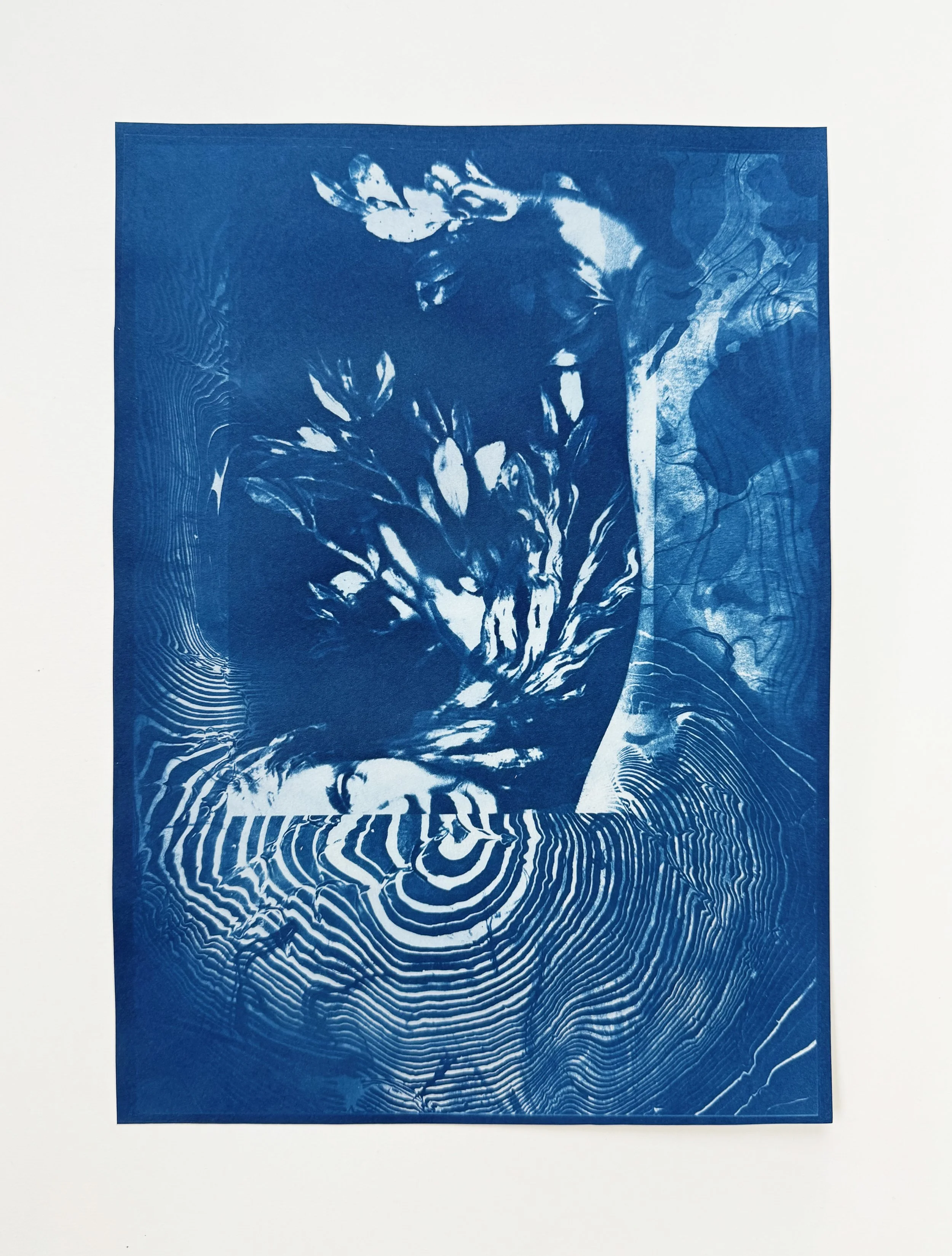 Metamorphosis of Daphne (Bernini), V