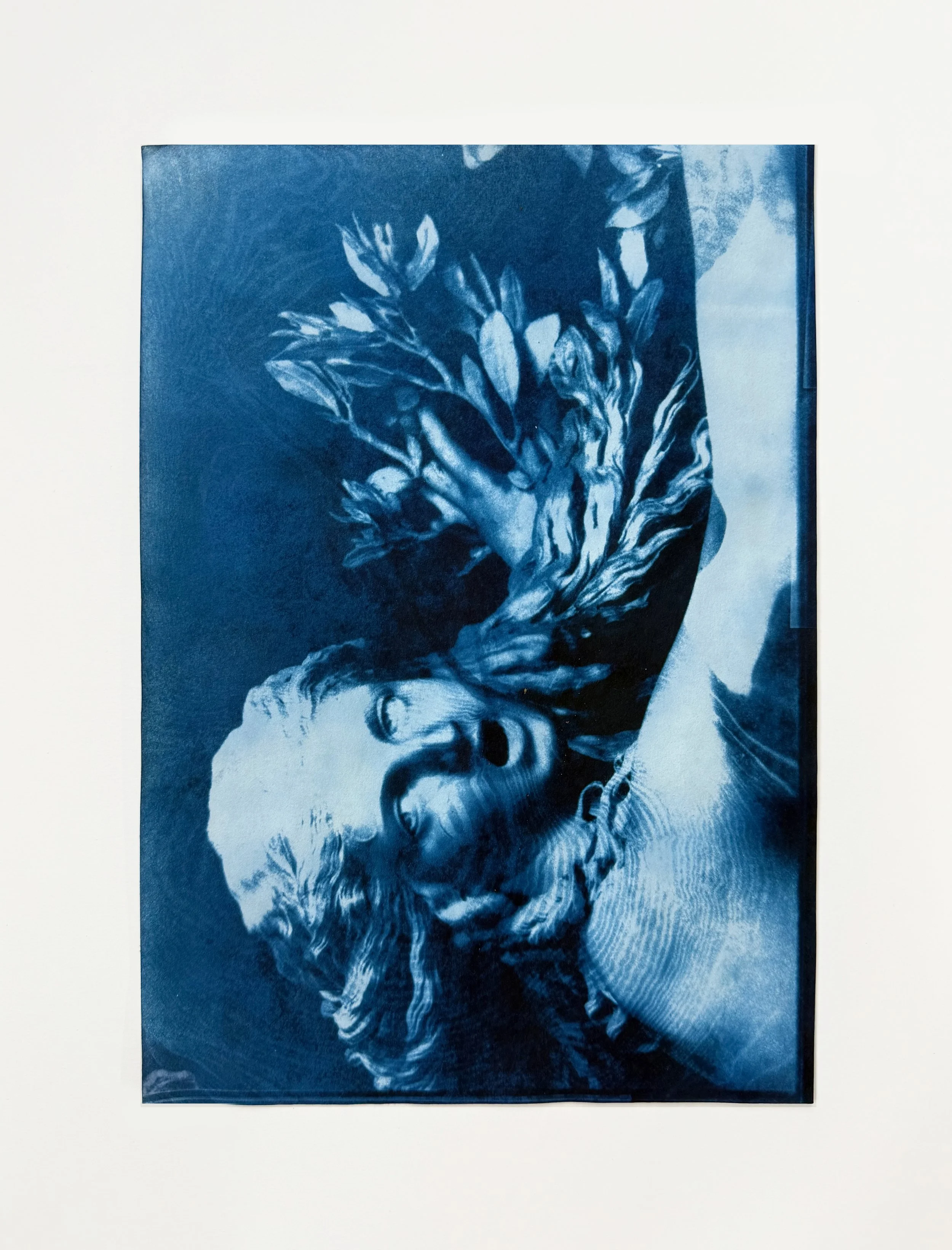 Metamorphosis of Daphne (Bernini), IV