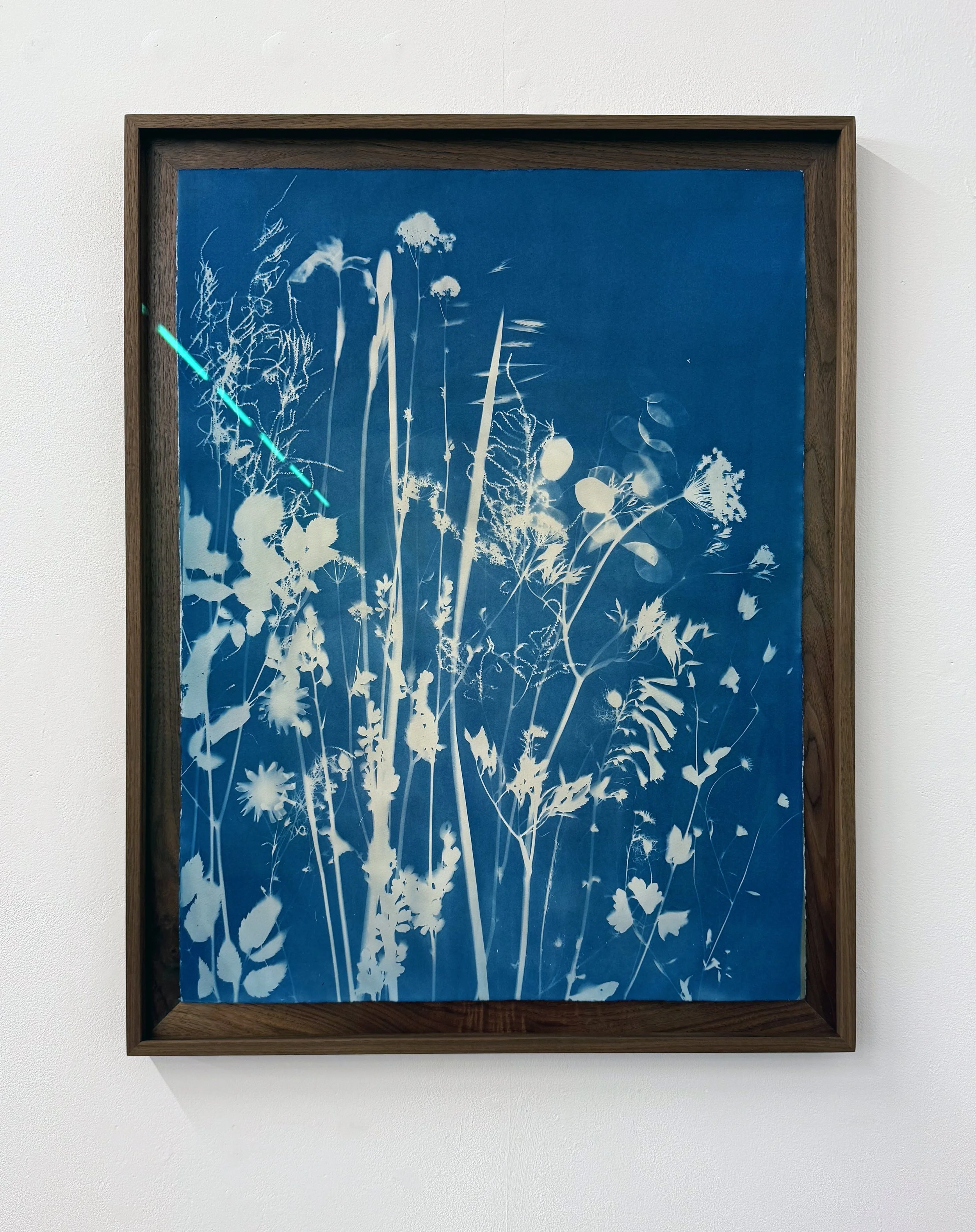 My Mother's Garden, May