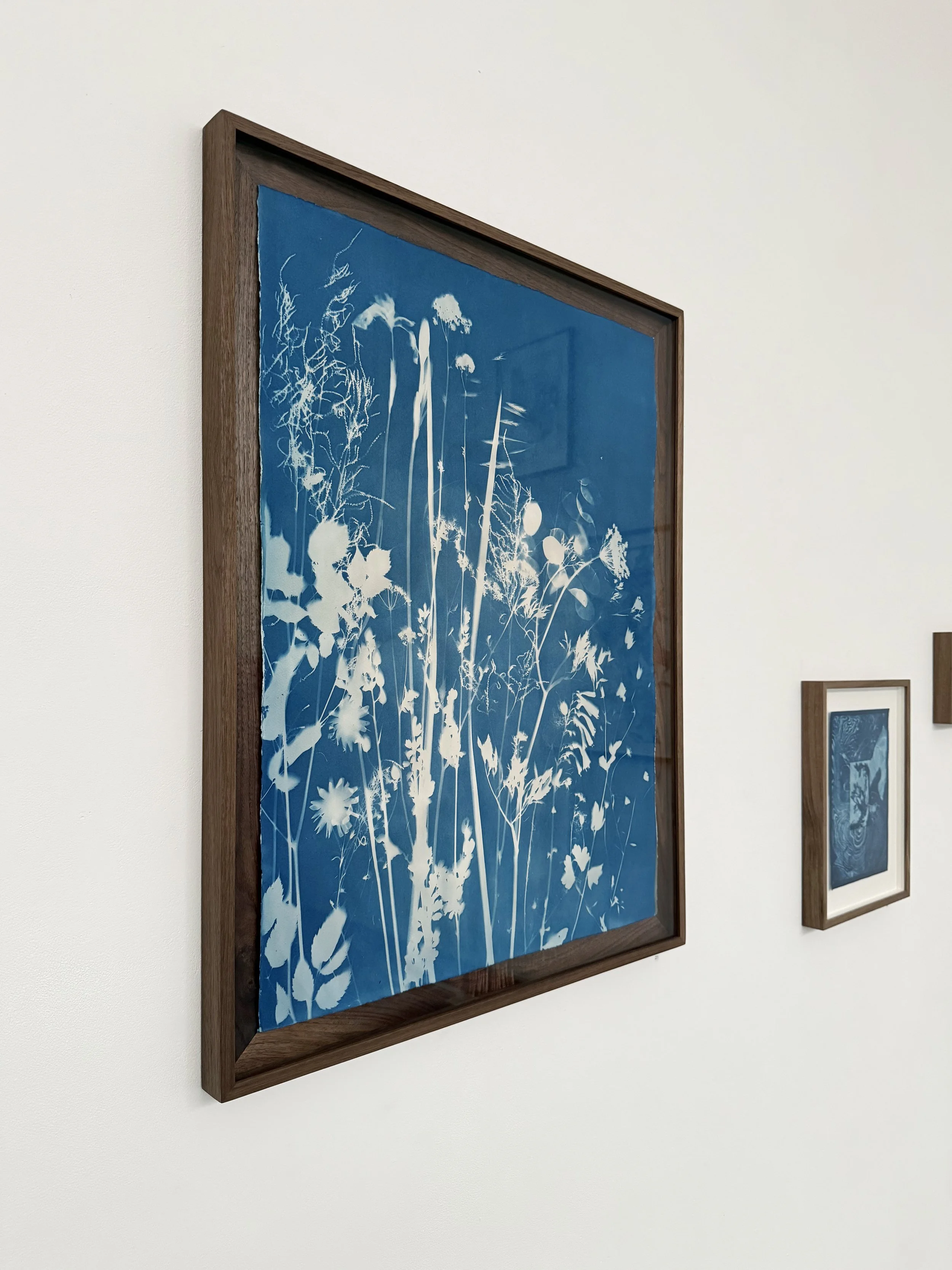 My Mother's Garden, May