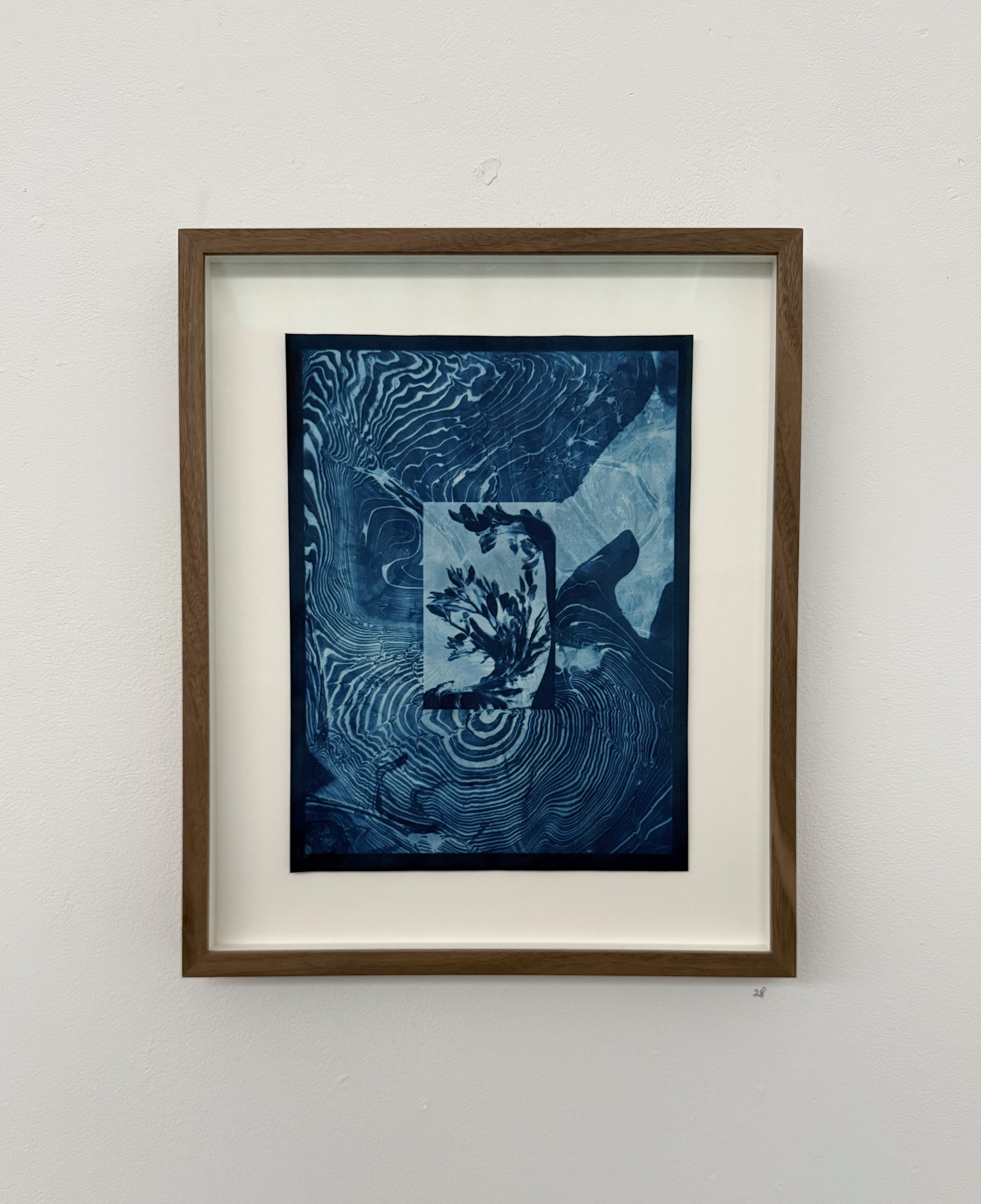 Metamorphosis of Daphne (Bernini), III