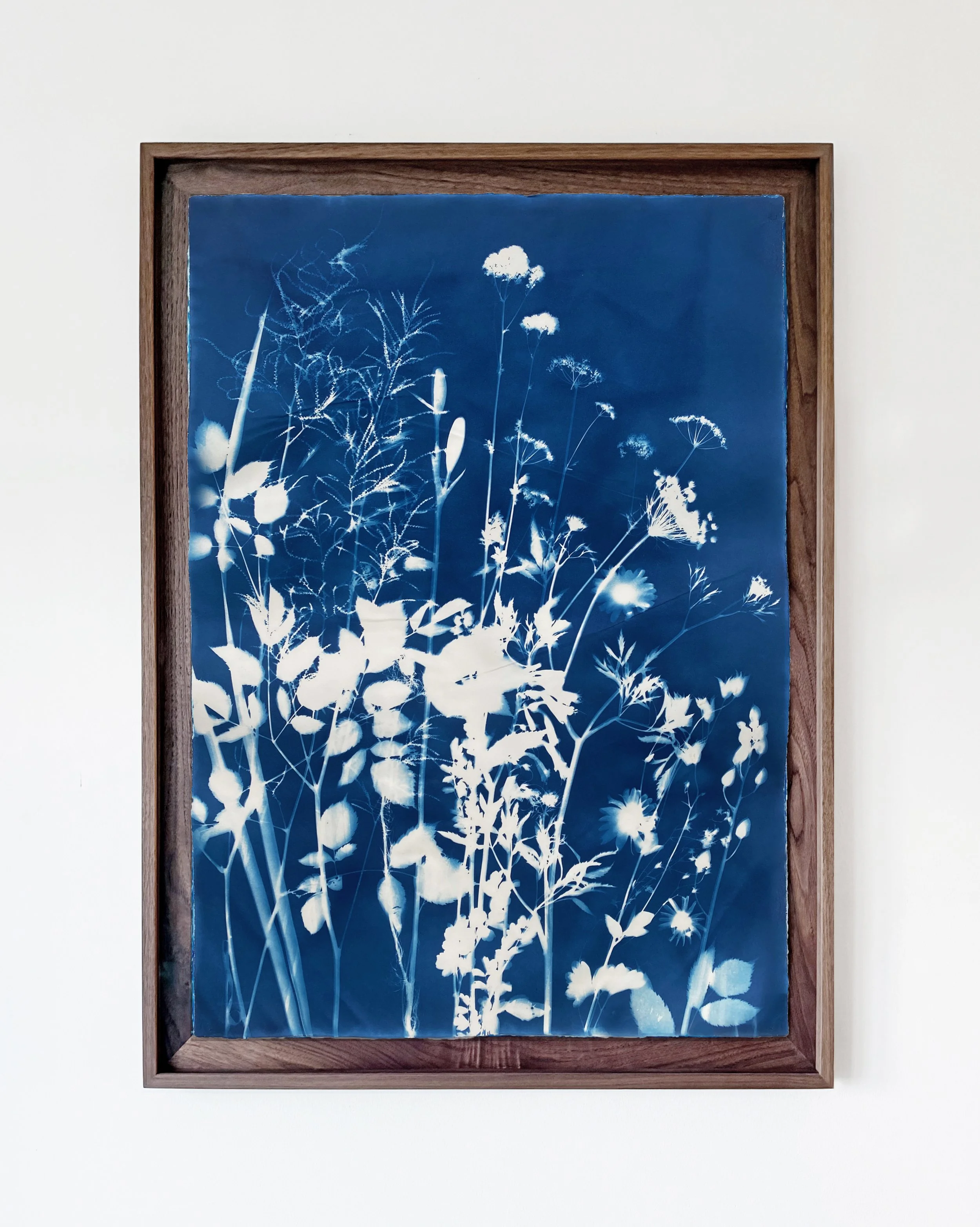 My Mother's Garden, June