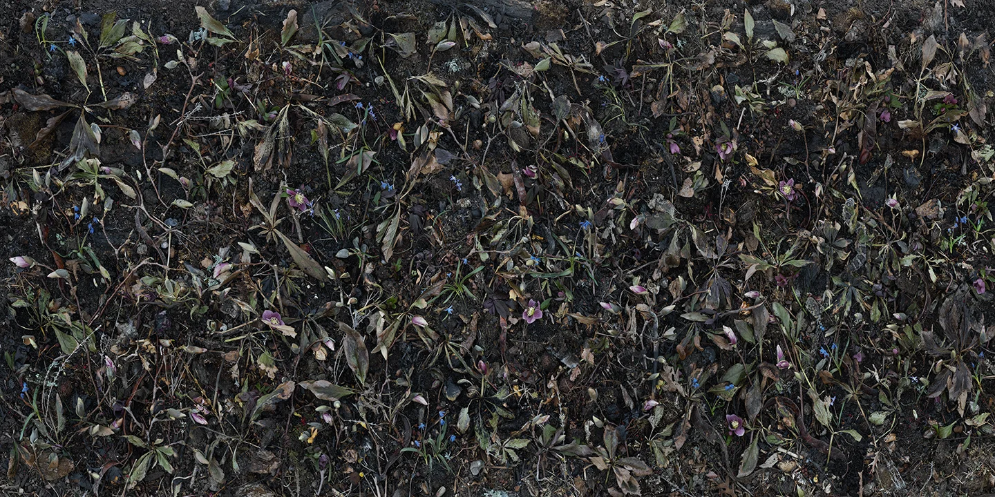 In Conversation with Daniel Mendelsohn