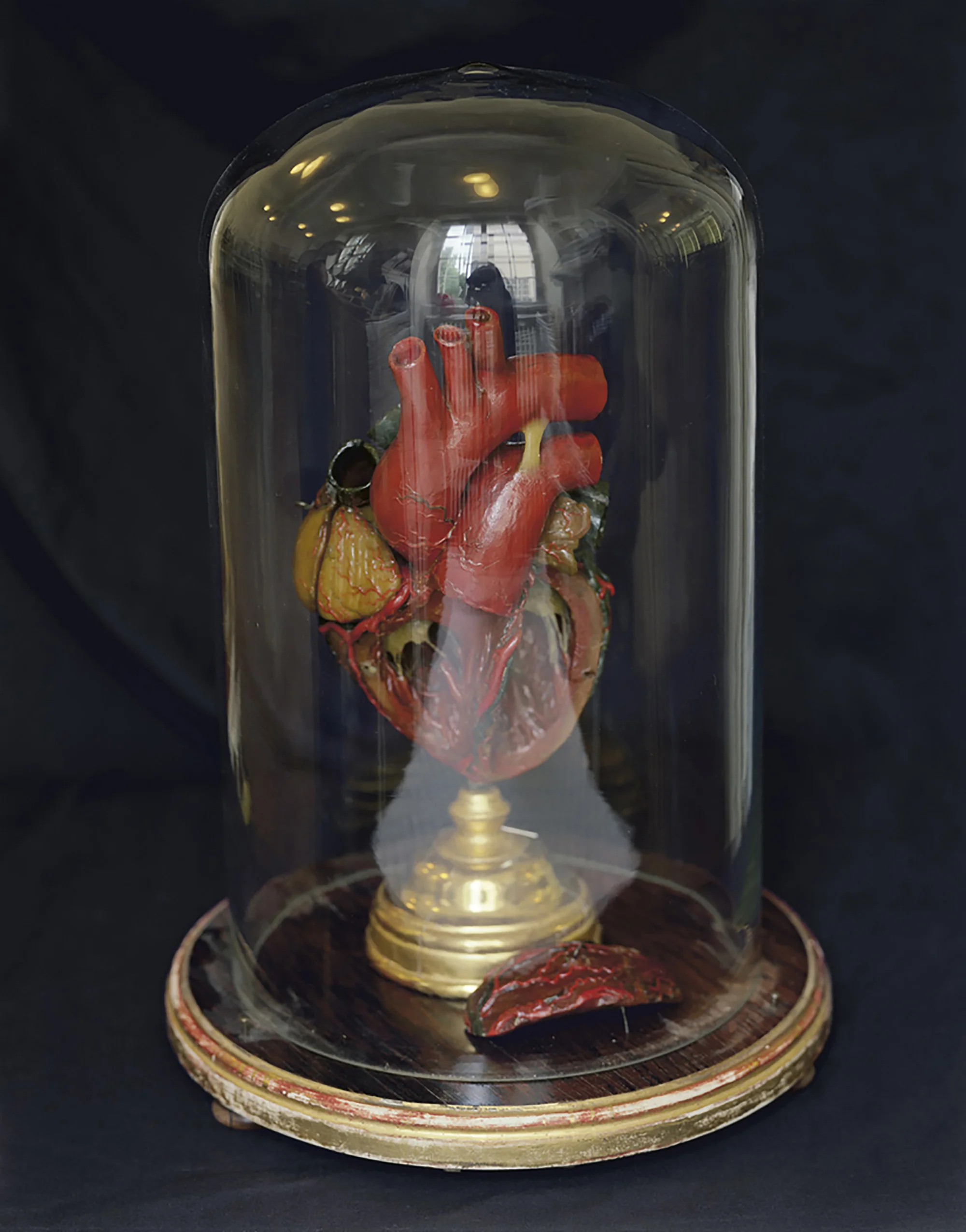 Wax Bodies Nº165, 2007 18 x 15"