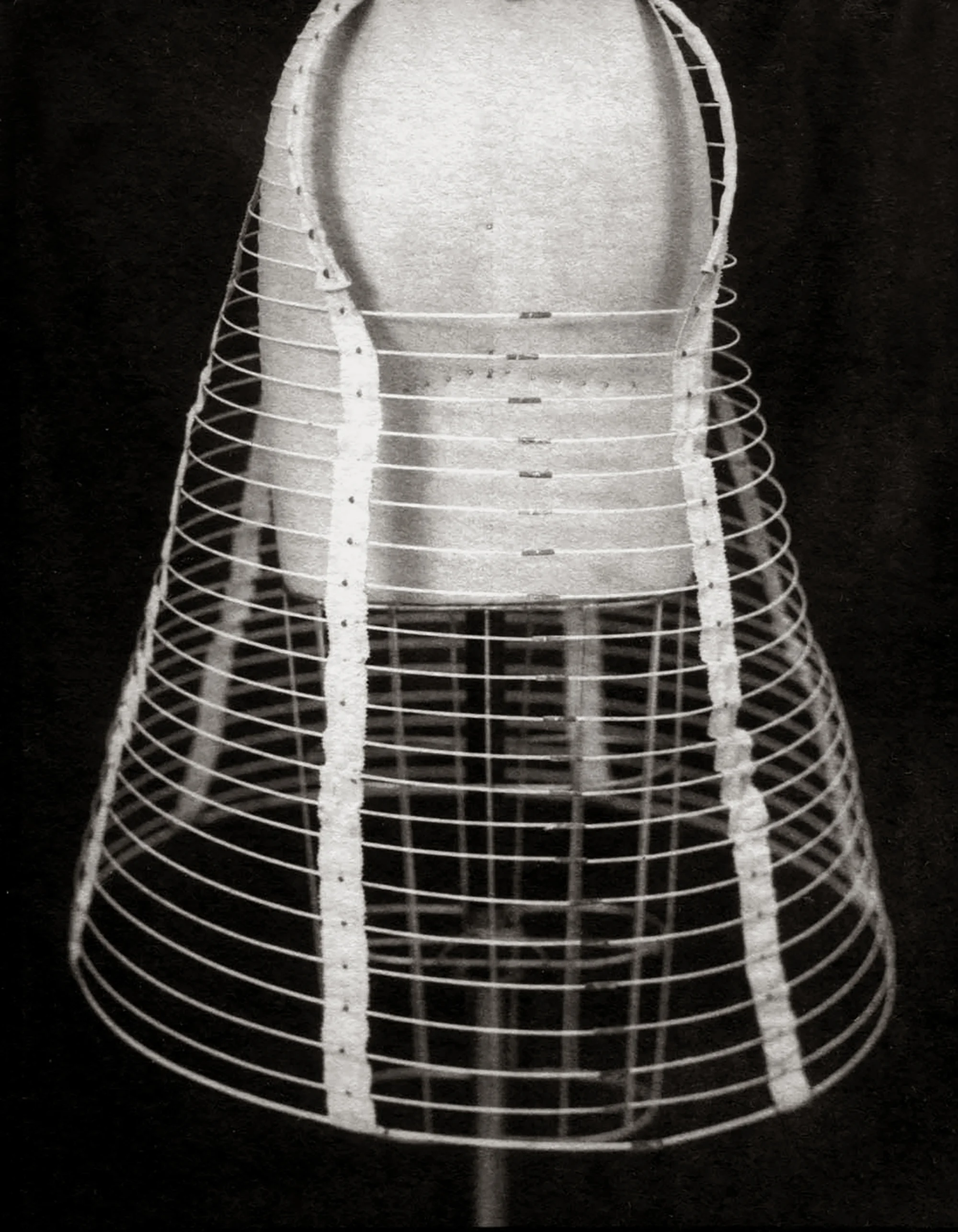 Cage Crinoline, 2002-2004 platinum/palladium print, 4 3/4 x 3 3/4"