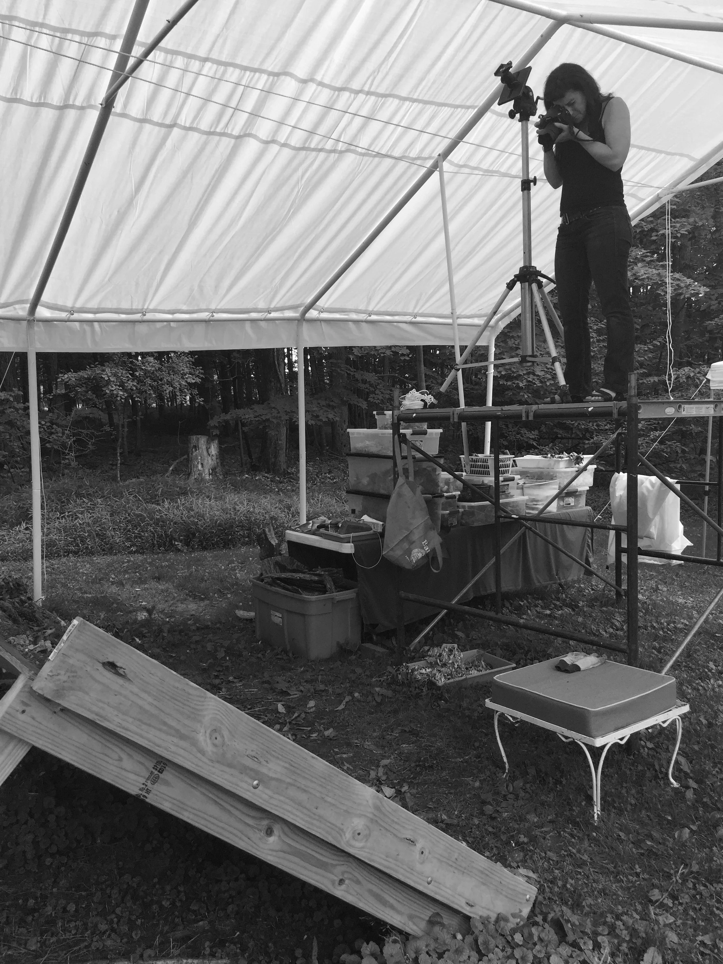 Tanya Marcuse working in her outdoor studio, 2016. Photograph by Ann Burke Daly