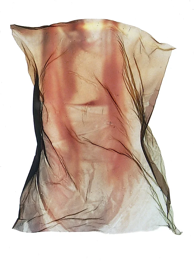 j. Torso_Marcuse.jpg