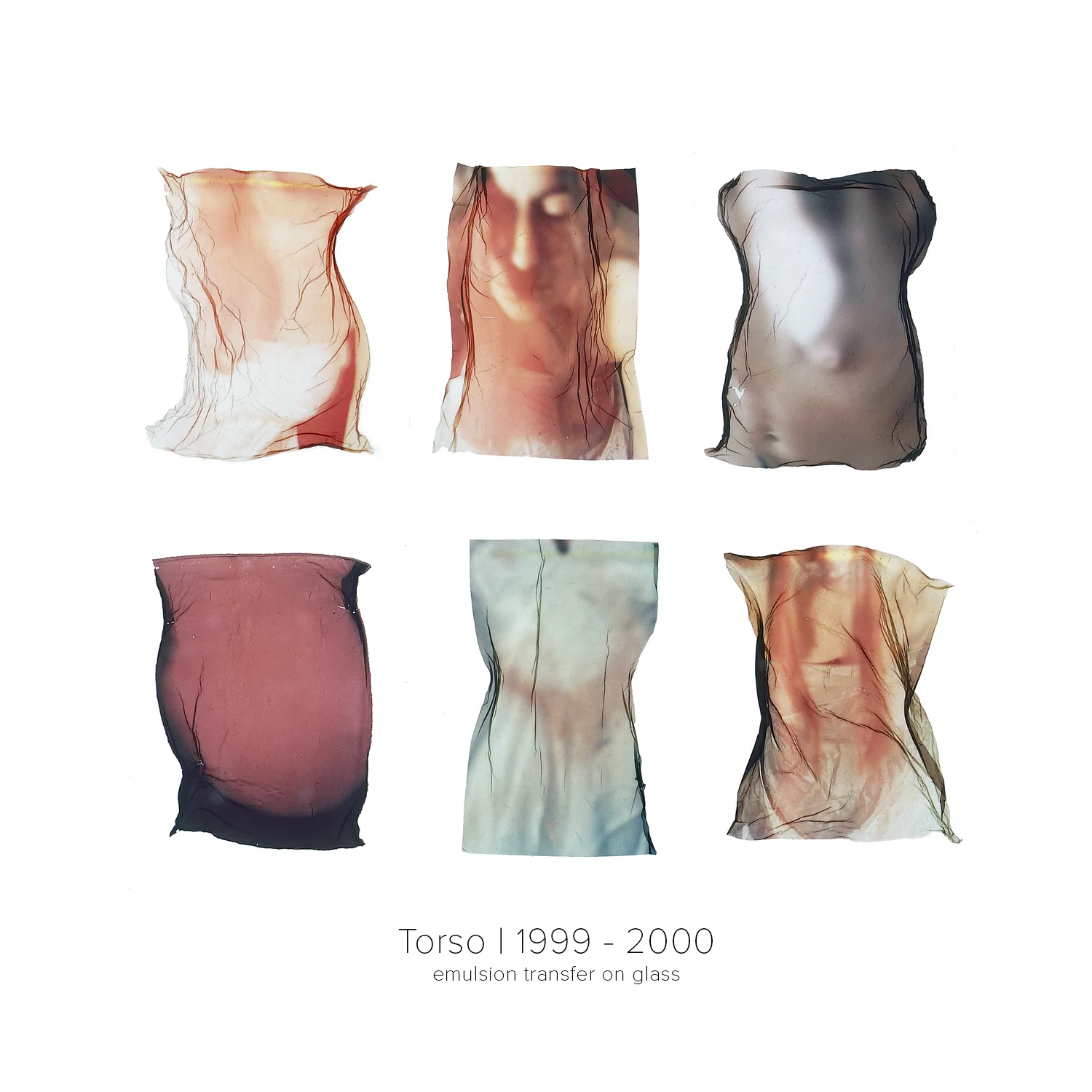 Torso grid glass flat.jpg