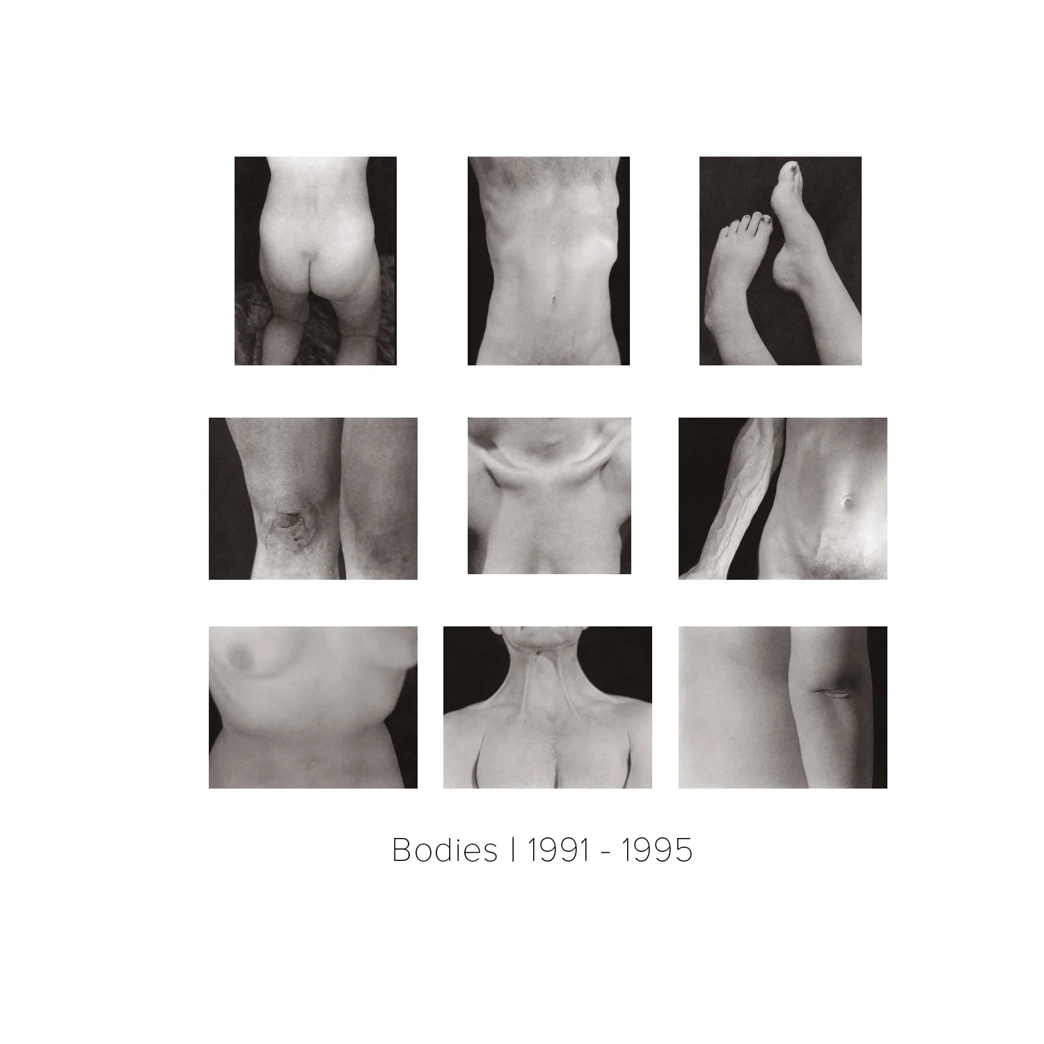 Bodies grid flat.jpg