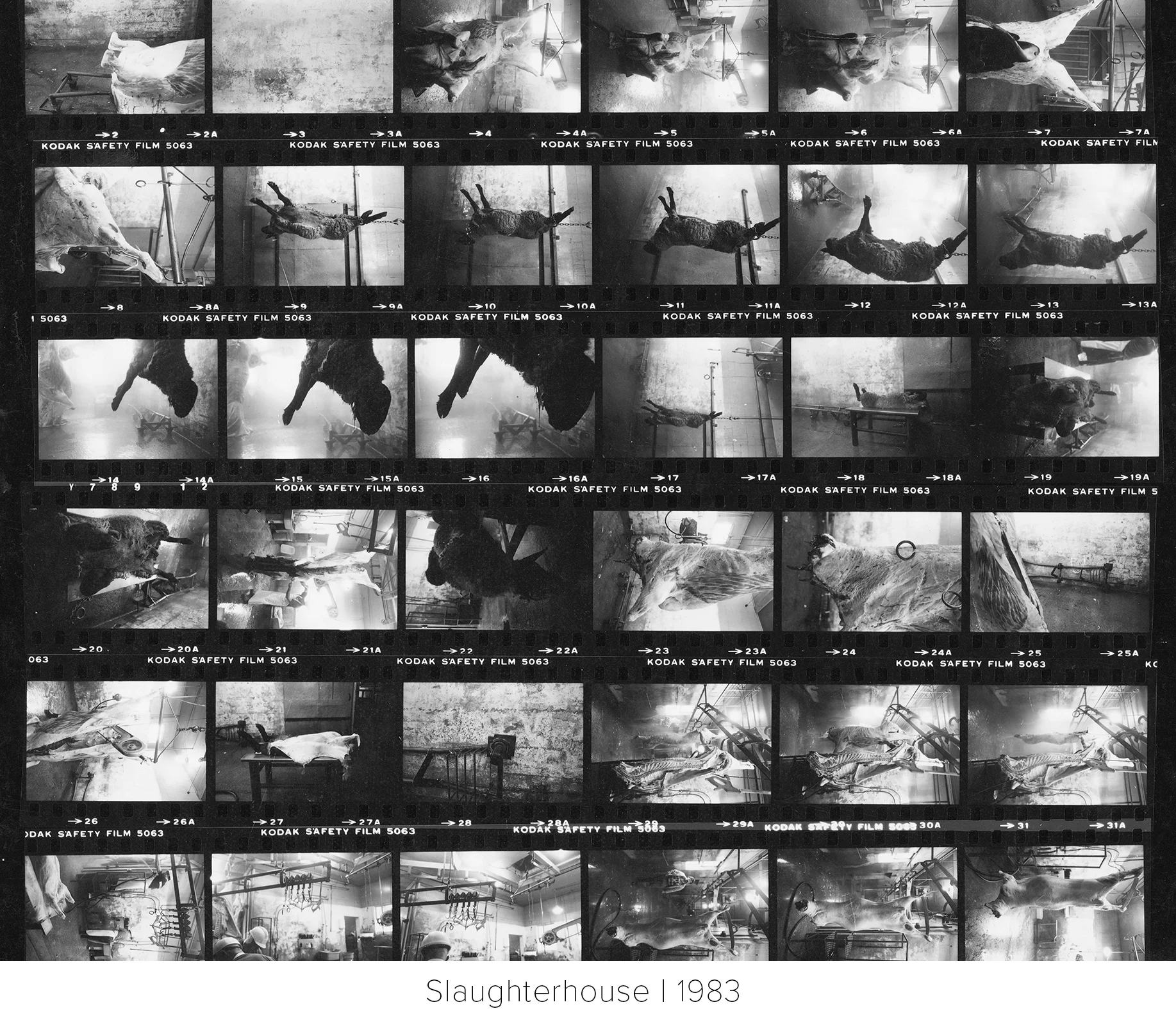 Slaughterhouse_1984_CONTACT_TITLE.jpg