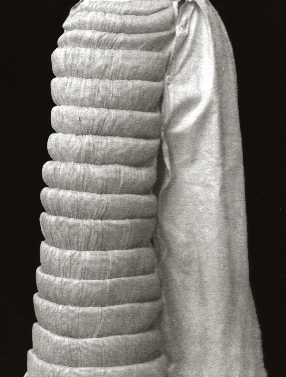 Layered Bustle, 2002-2004 platinum/palladium print, 4 3/4 x 3 3/4"