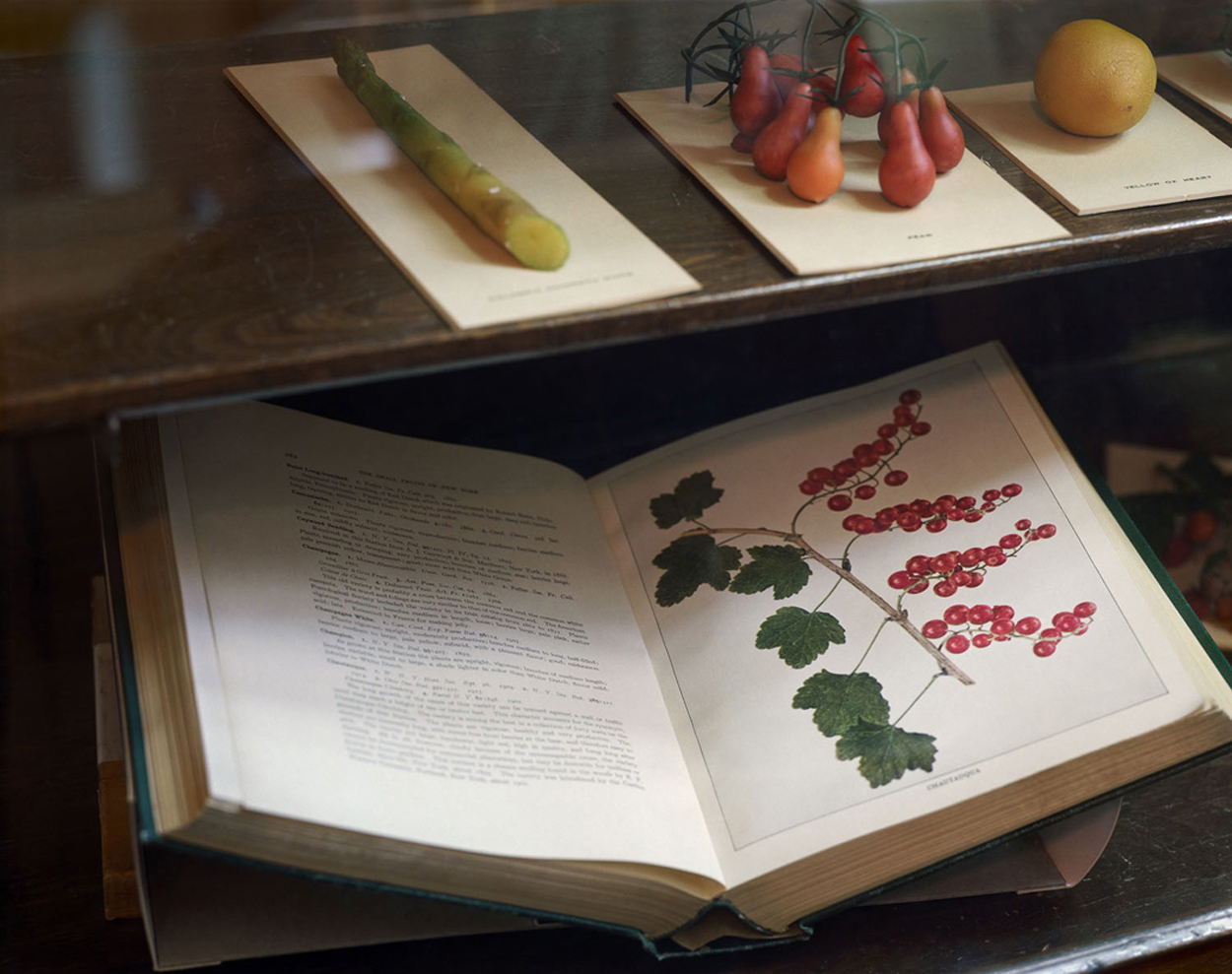 Open Book, 28 x 23" 2009 