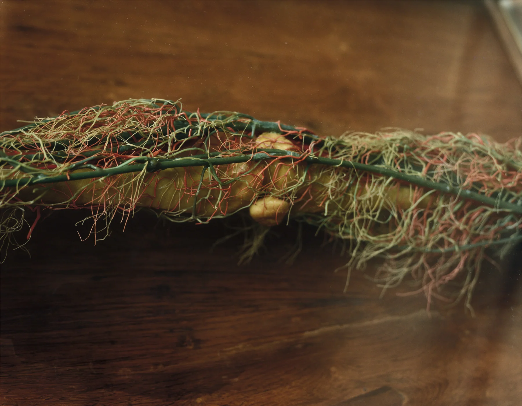 Wax Bodies Nº 26 2006 15 x 18" 