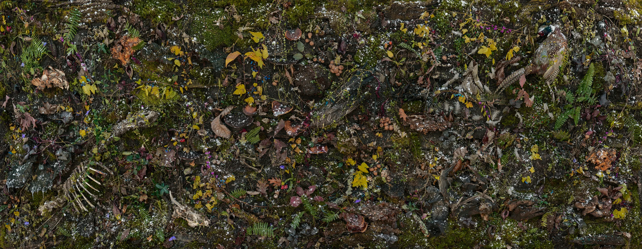 Woven Nº 30, 62 x 160” 2018