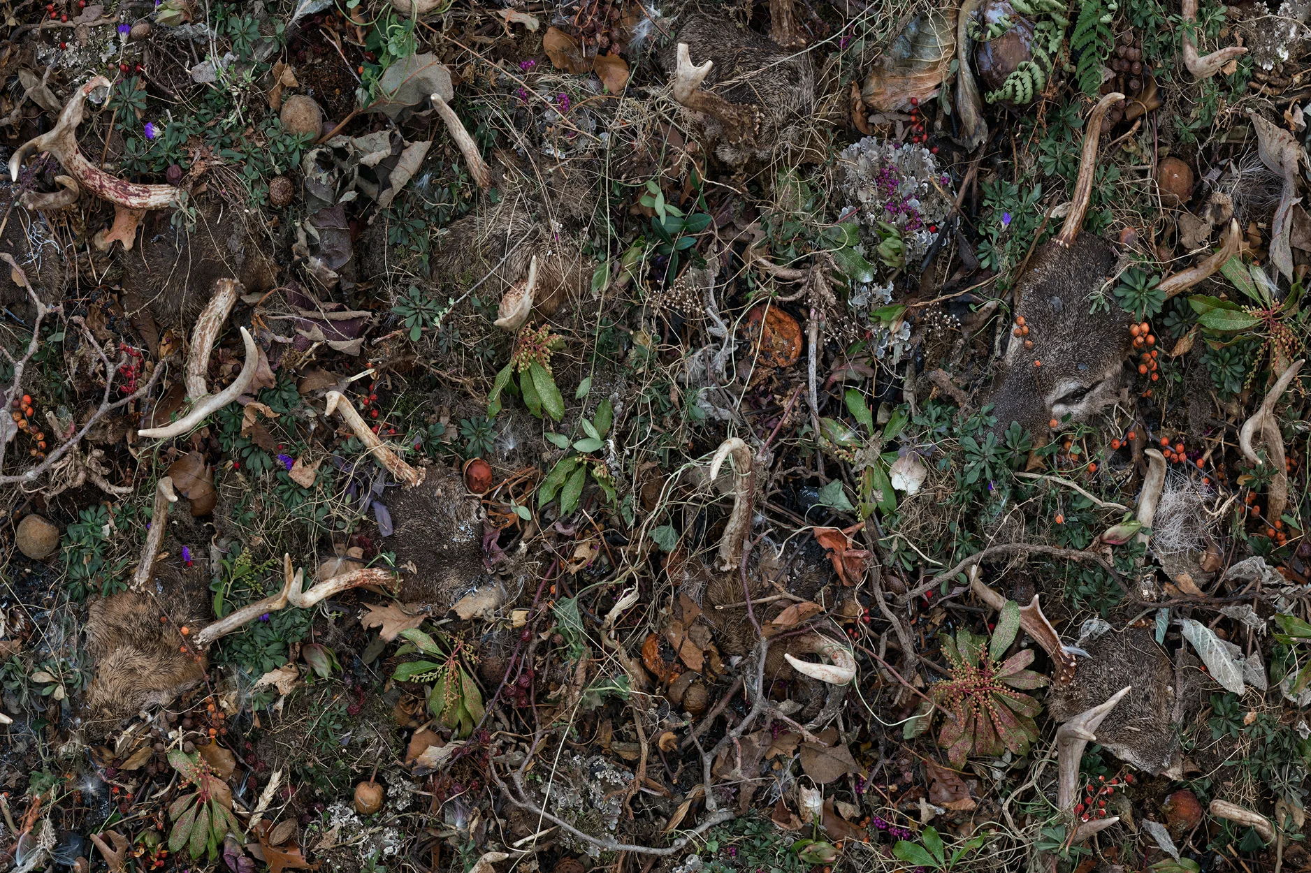 Detail Woven Nº 17, 62 x 124” 2016