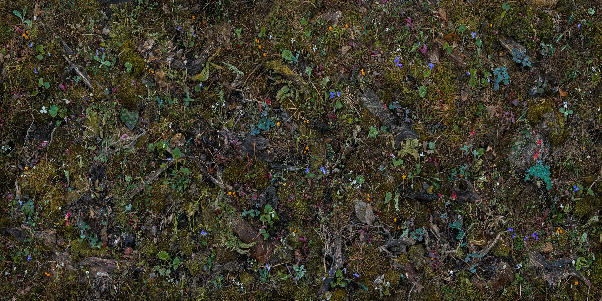 Woven Nº 23, 62 x 124” 2016